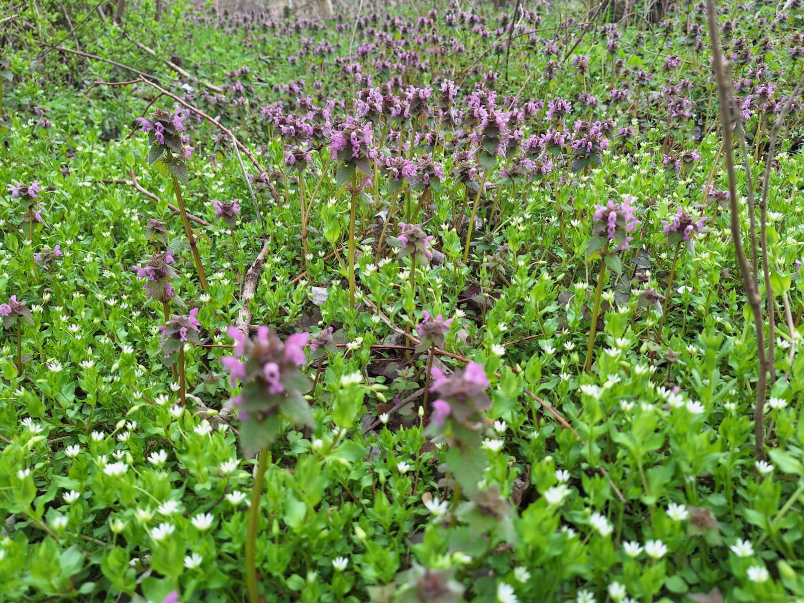 e9b5250a-0e74-41f5-b200-9d089f5614ed