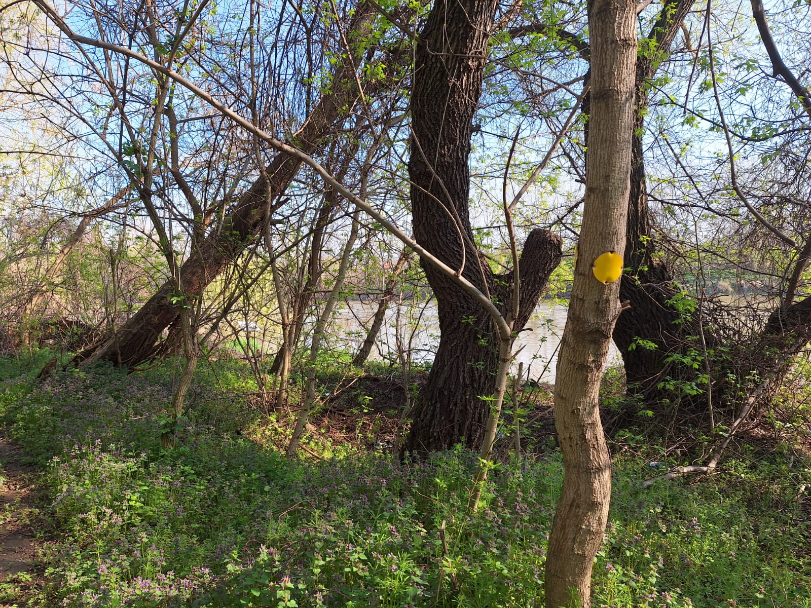 eaad5df3-51f5-41bb-a327-f8f079a7f19b