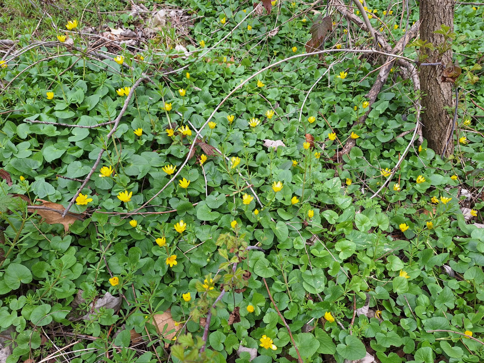 eba1ba5b-2ad4-47c8-8ca8-efc194563399