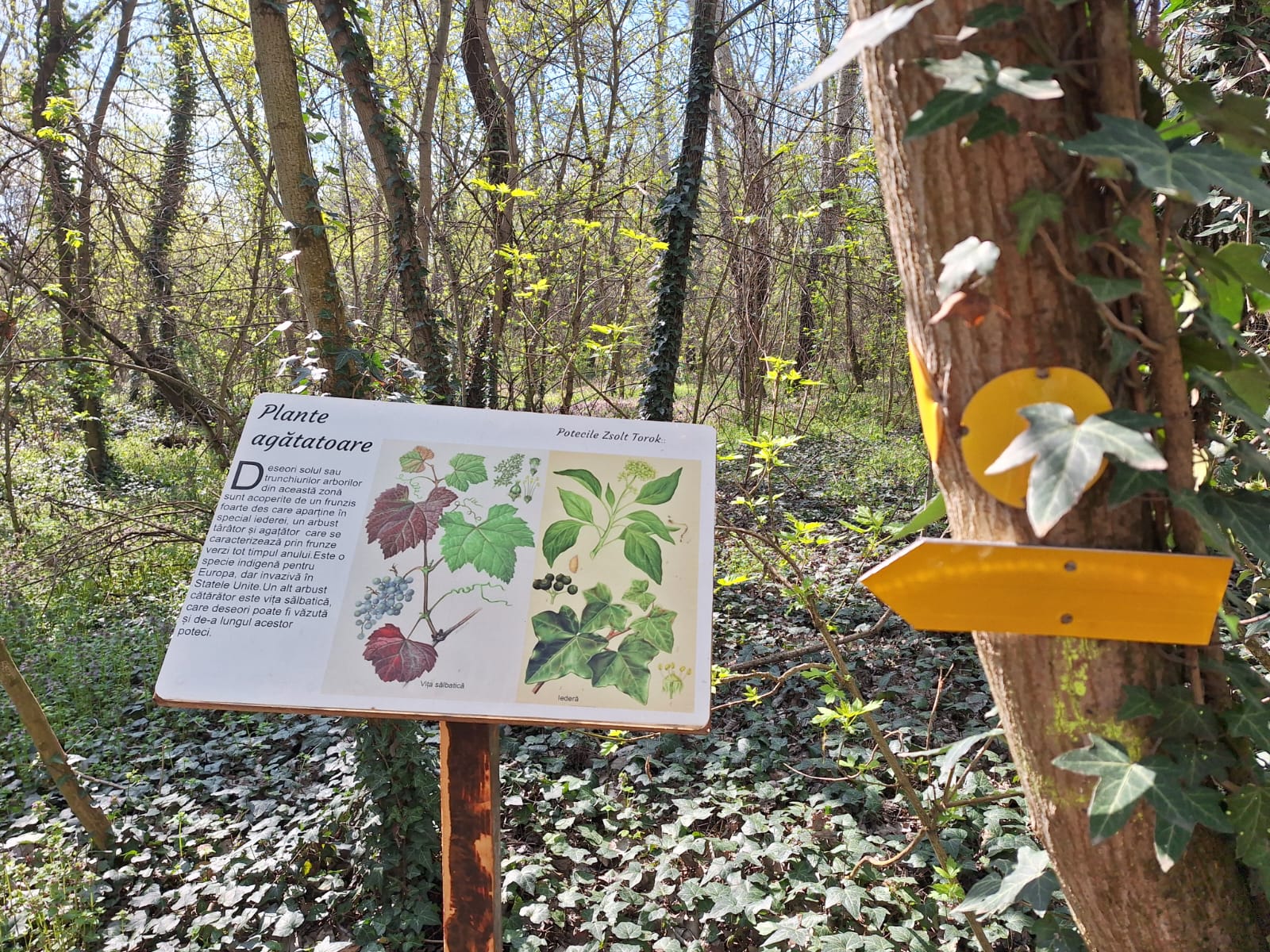 ed2ca535-2904-4ca8-ab7a-c9396e4f964b