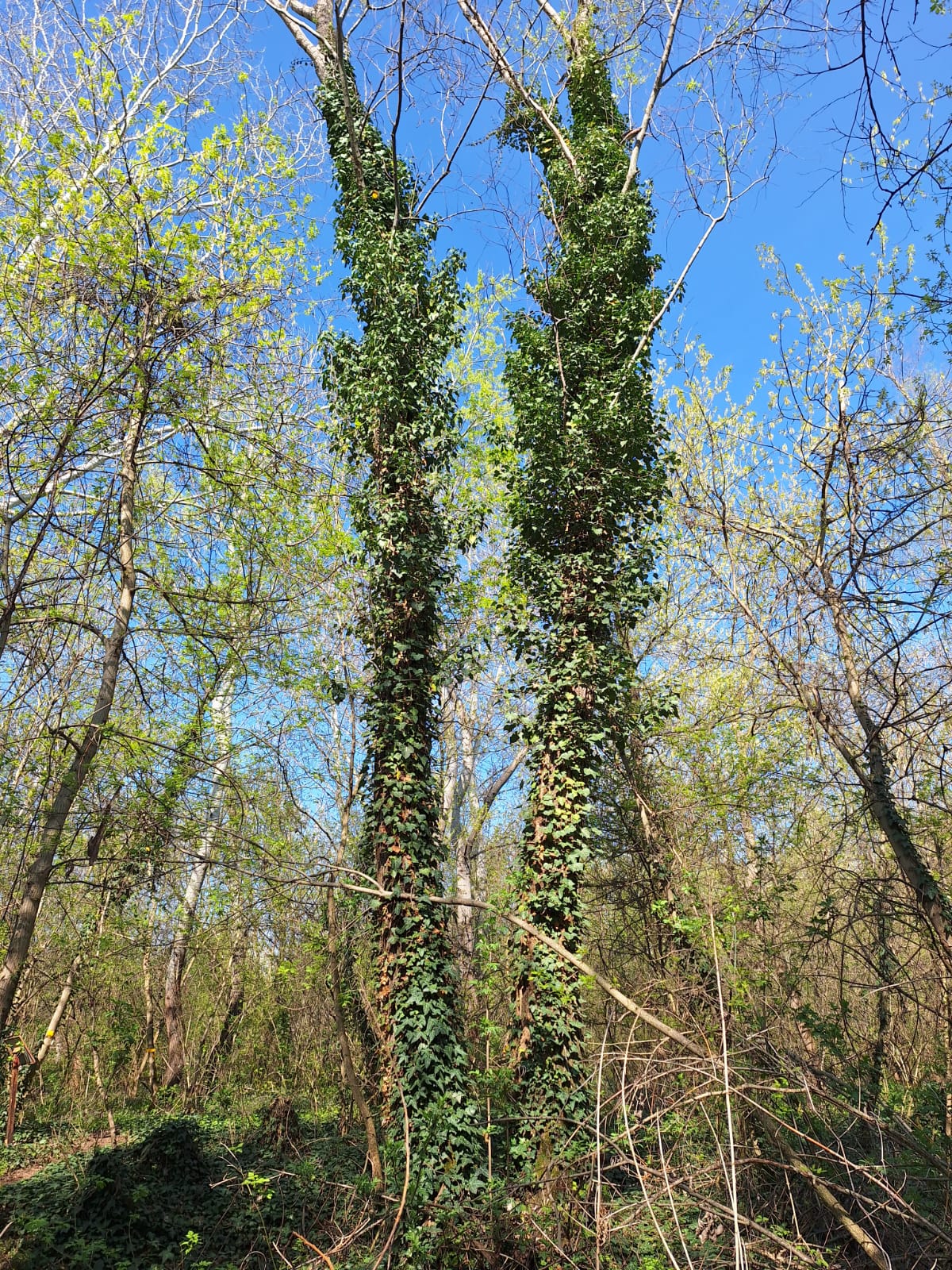 f15e8c6e-99cc-4e92-a0a0-73ebe0387f40