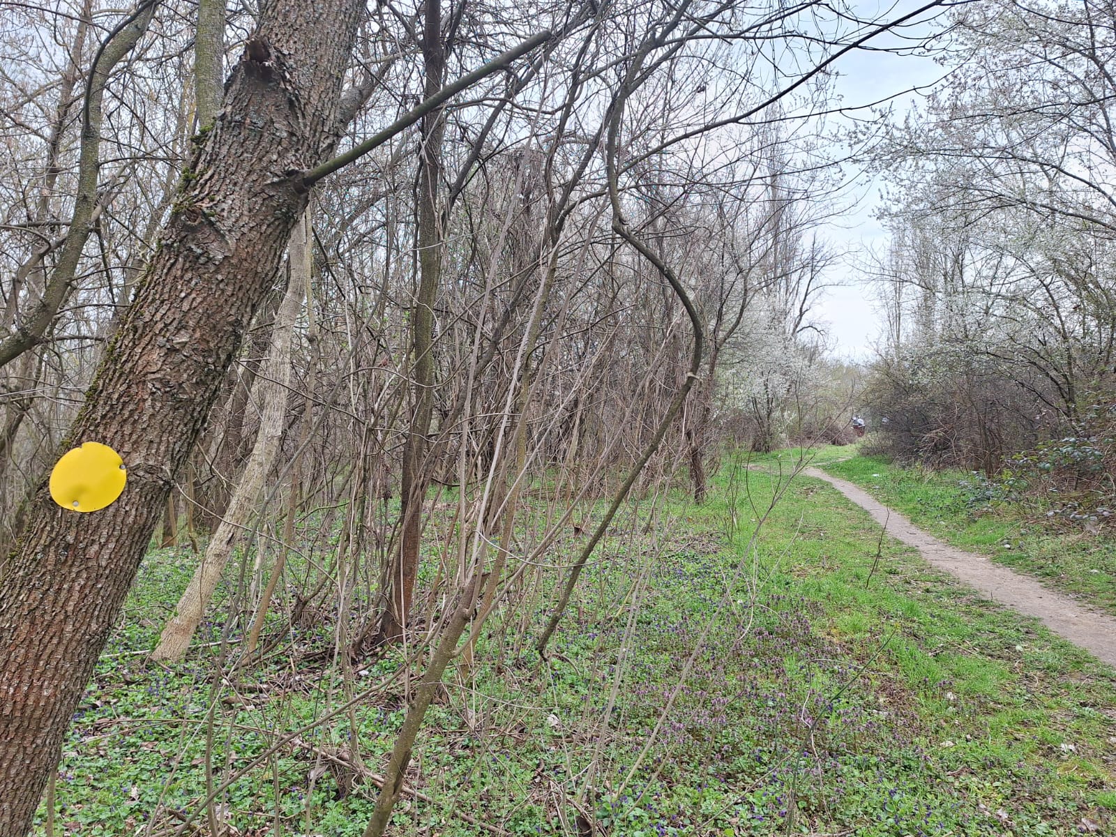 f84cae01-9c13-433a-96e4-d8f4d3470522