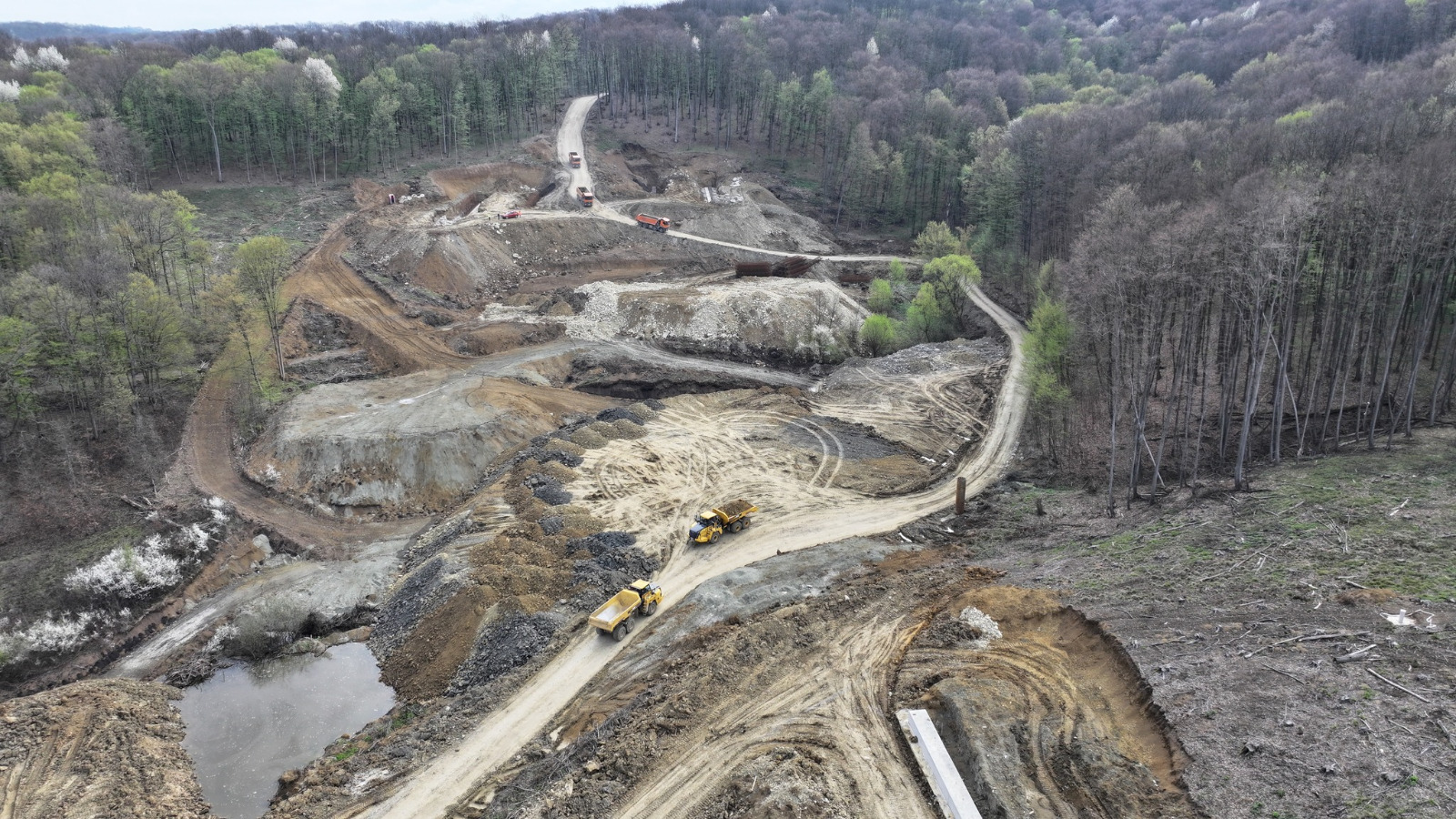 WhatsApp Image 2025-04-08 at 15.53.50 (10)