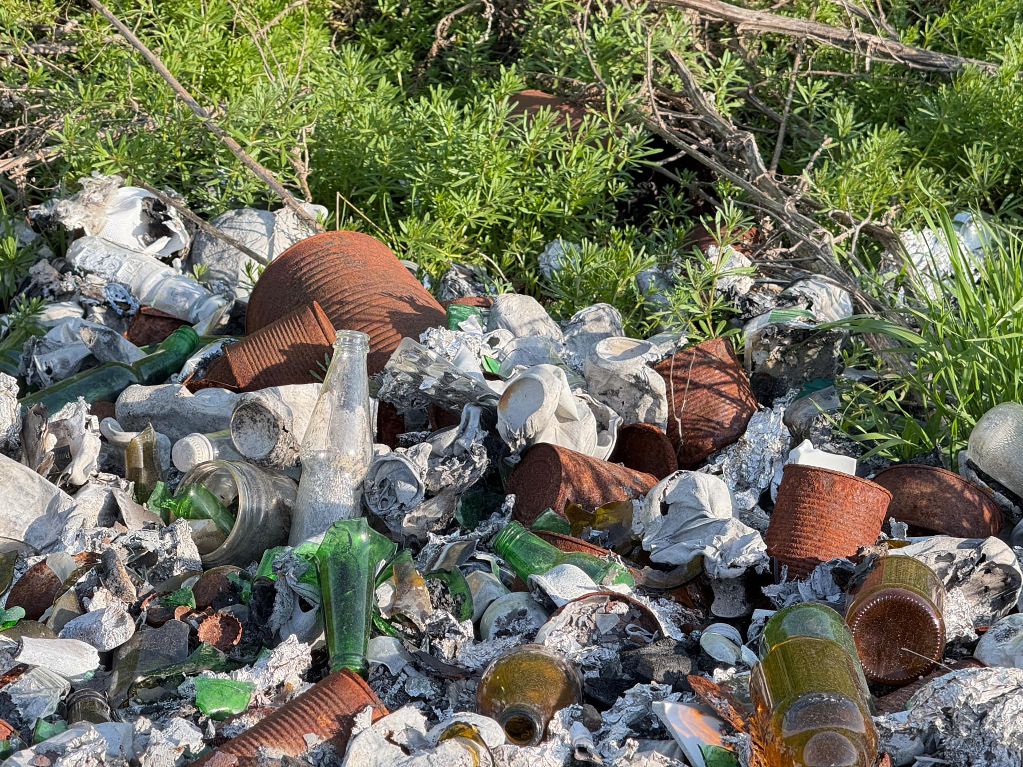 0dcd8f45-9790-4bdd-81b4-b45dd86593fc