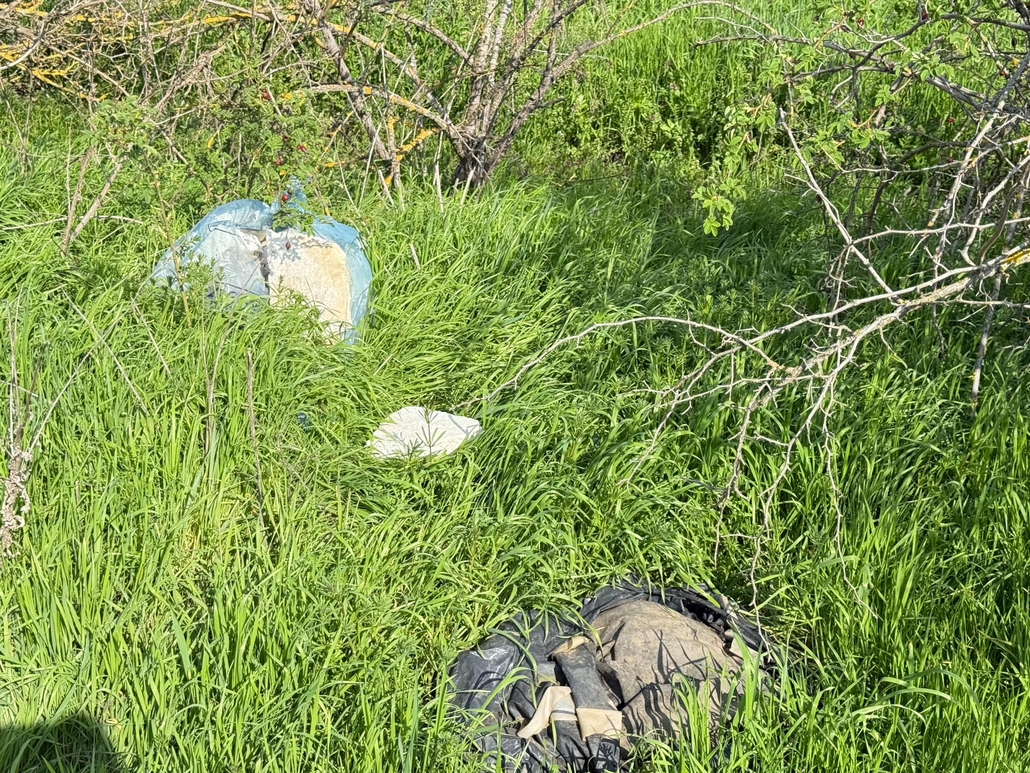 1f2efd4a-a511-40b4-a68d-bb23c9ccea85