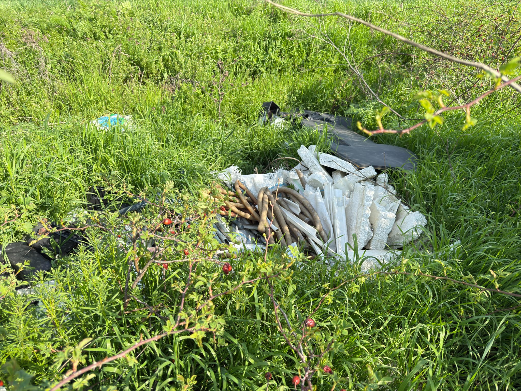 5fe50b99-be86-46d4-ab6b-fa062aed511c