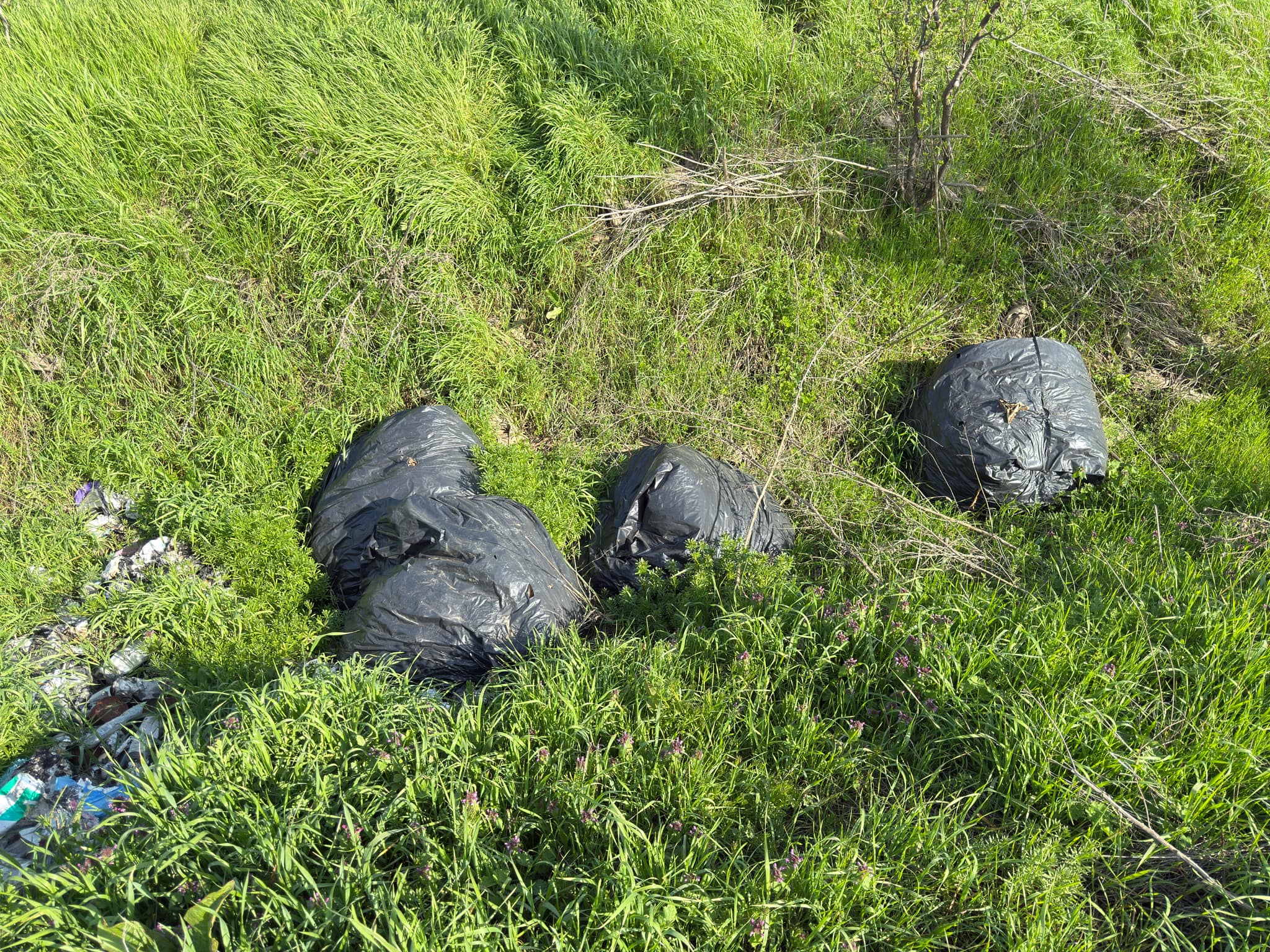 9ebbc598-b63e-4412-ab46-69dc1c4e26a9