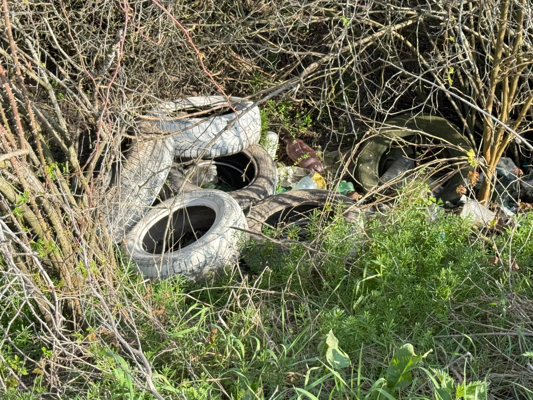 36faf390-6f44-46a5-a00e-74e431519fd7