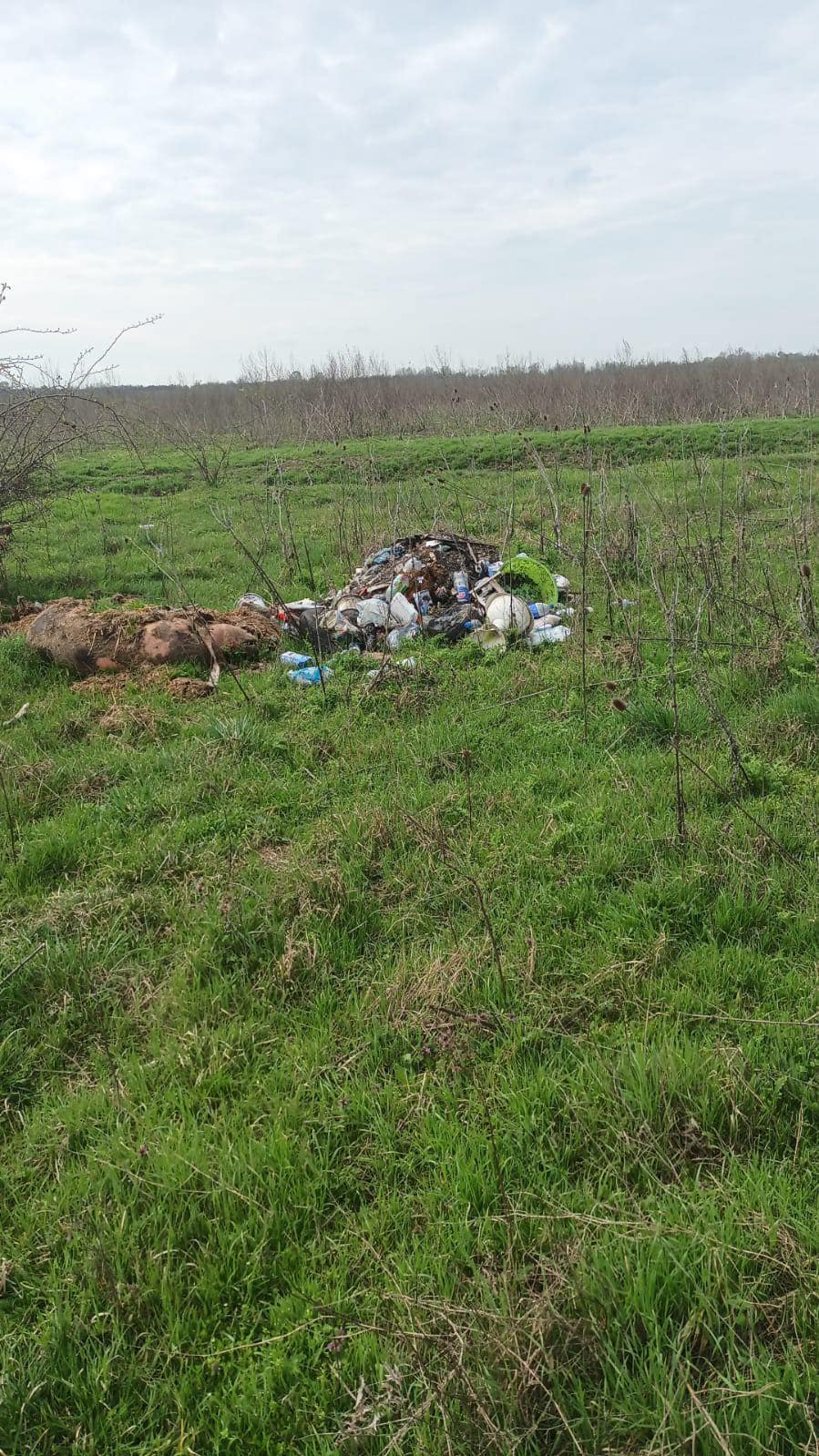 79c1d59b-e1fa-40a9-b359-d77c53535d25