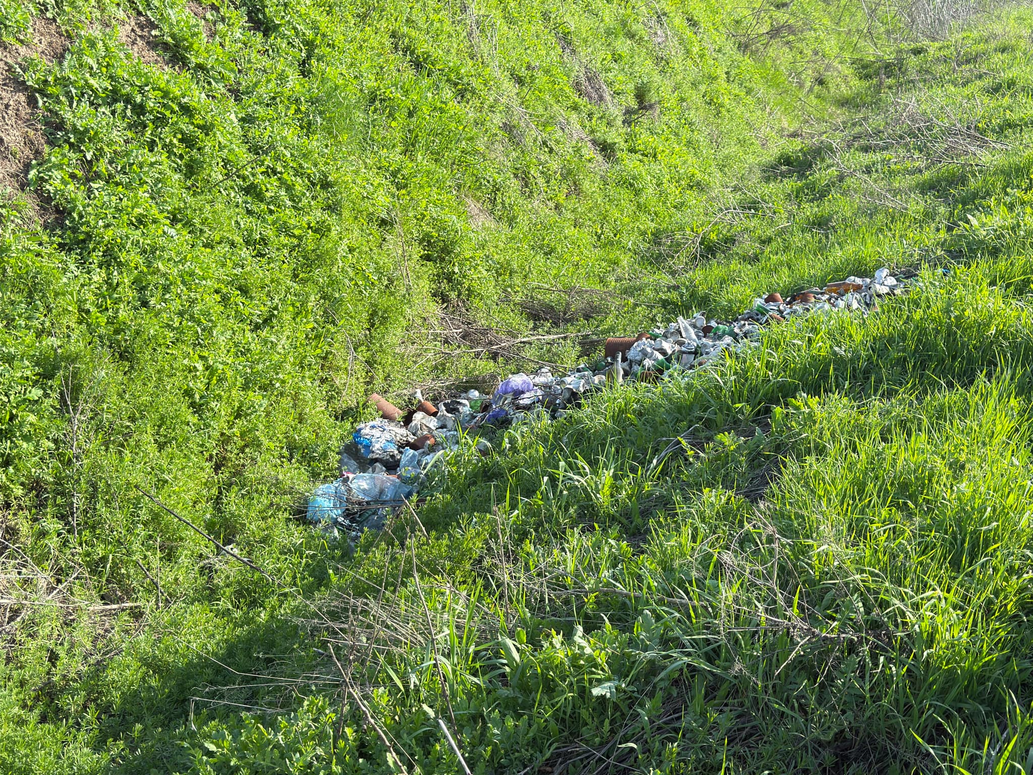 83d7a67e-e387-4df2-9919-f2265c688589