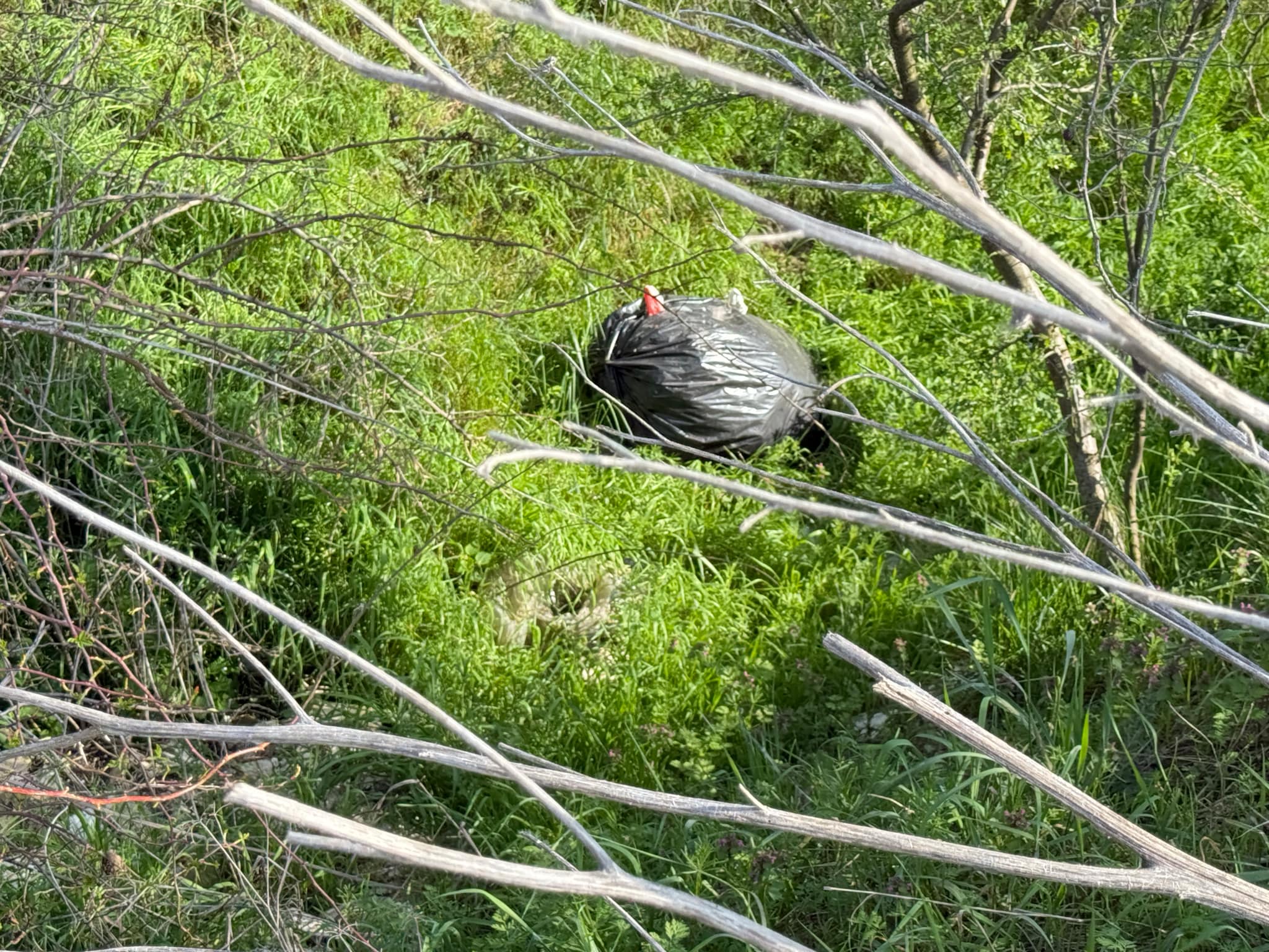 87c9bbe8-fa52-4f91-9d94-9b91faac0d14