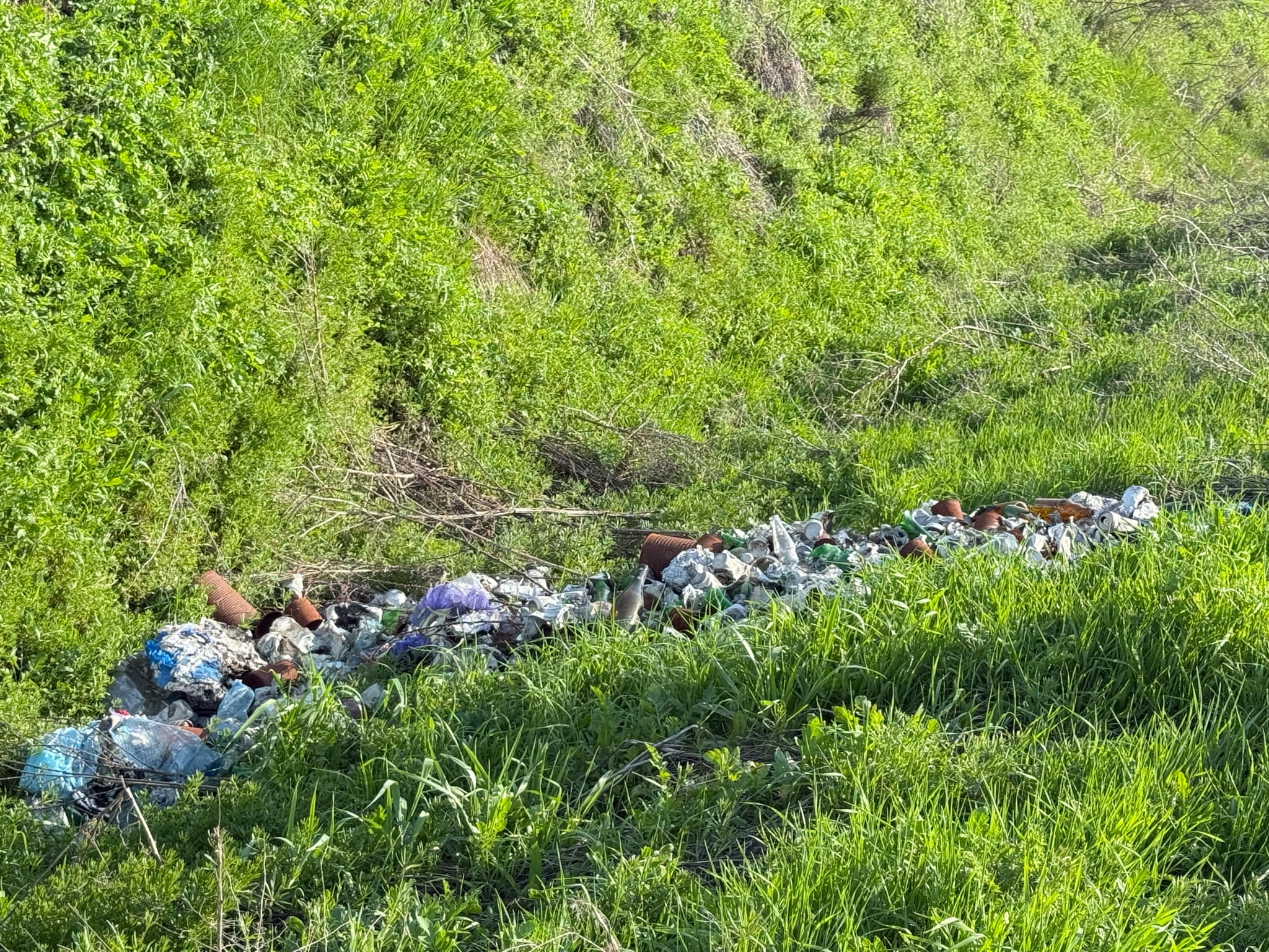 99edd9c4-c12d-4cc5-97b2-fbb27ca8edb6