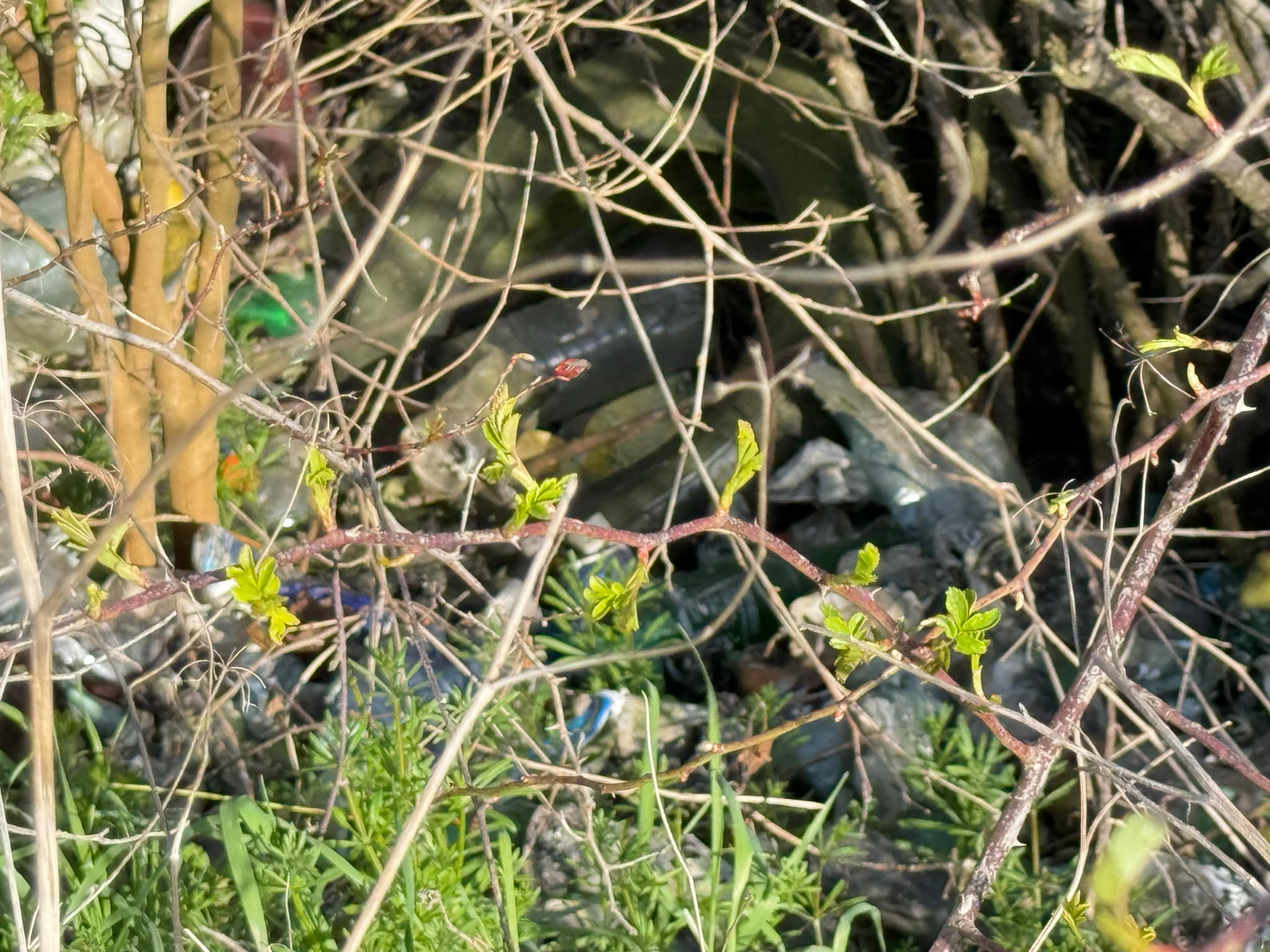 1740c25a-bb9f-45f2-b8a5-ab2986ba02ea