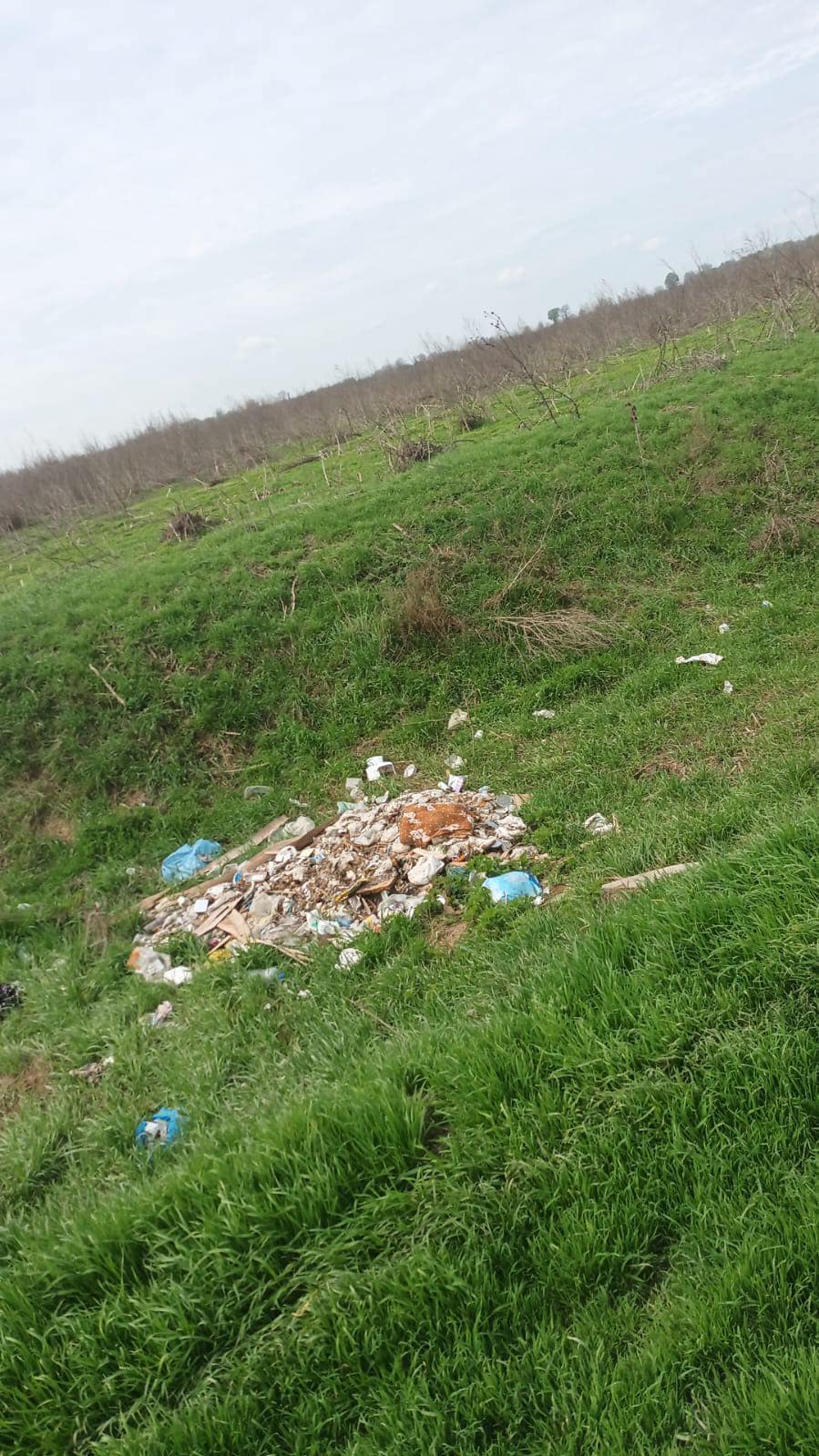 27746144-3915-456d-923d-a31e688e6139