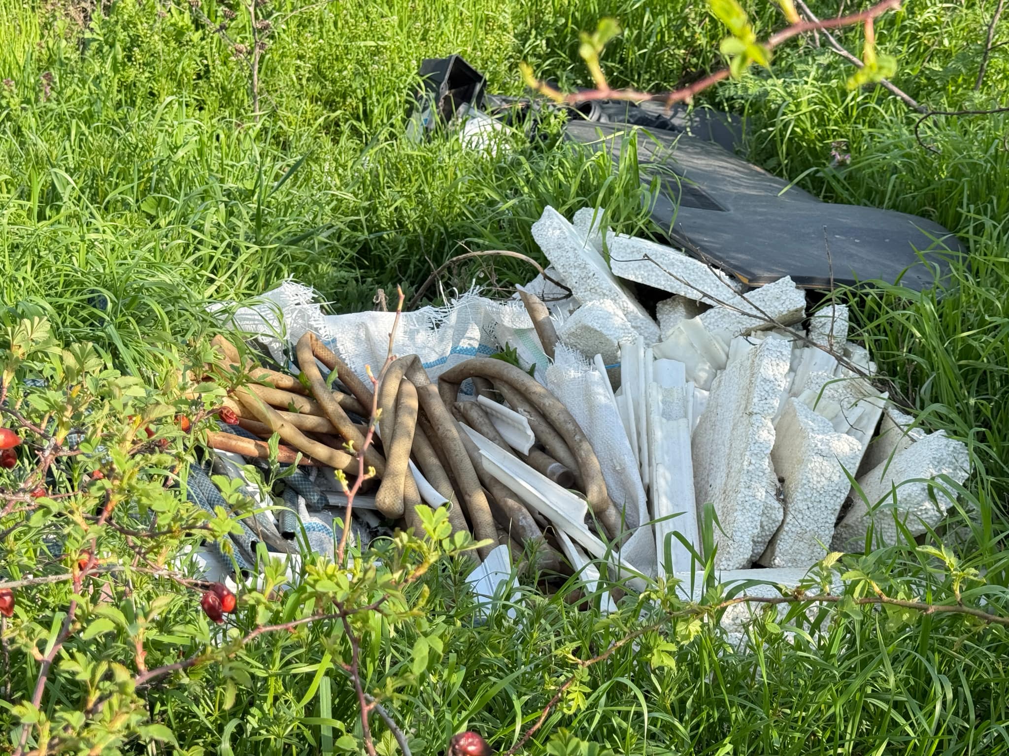 692292ae-e25f-4356-88b6-2a1183b6a022