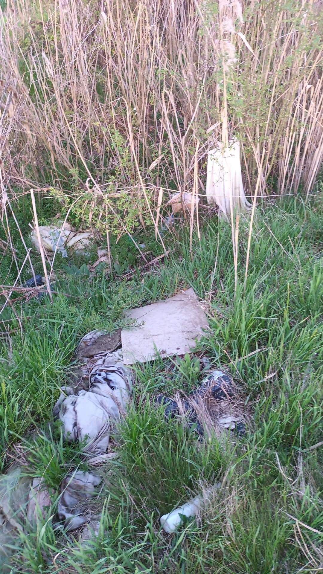 a54de337-ba2c-42e2-8380-002d4ea5d5ec