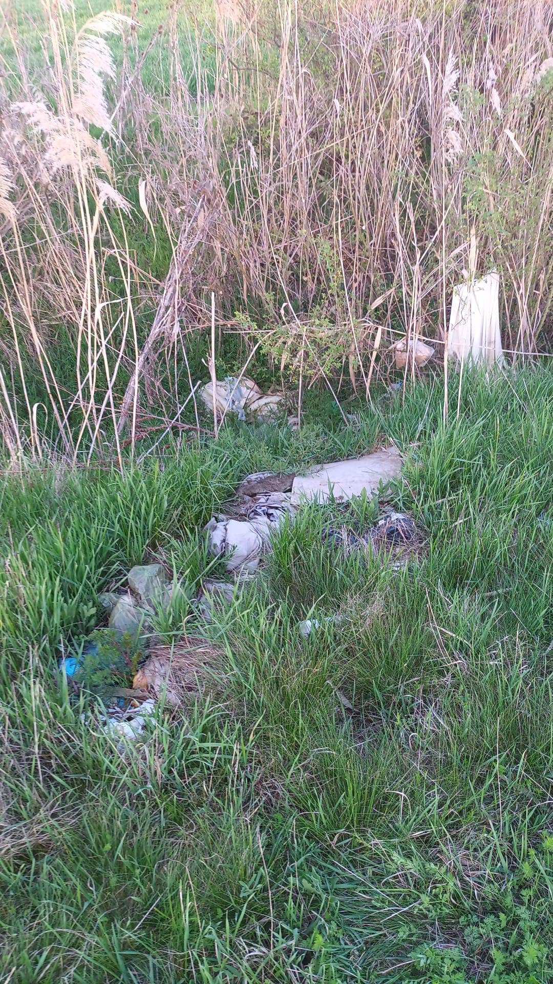 aebf4933-530c-4c5f-b978-989af962de81