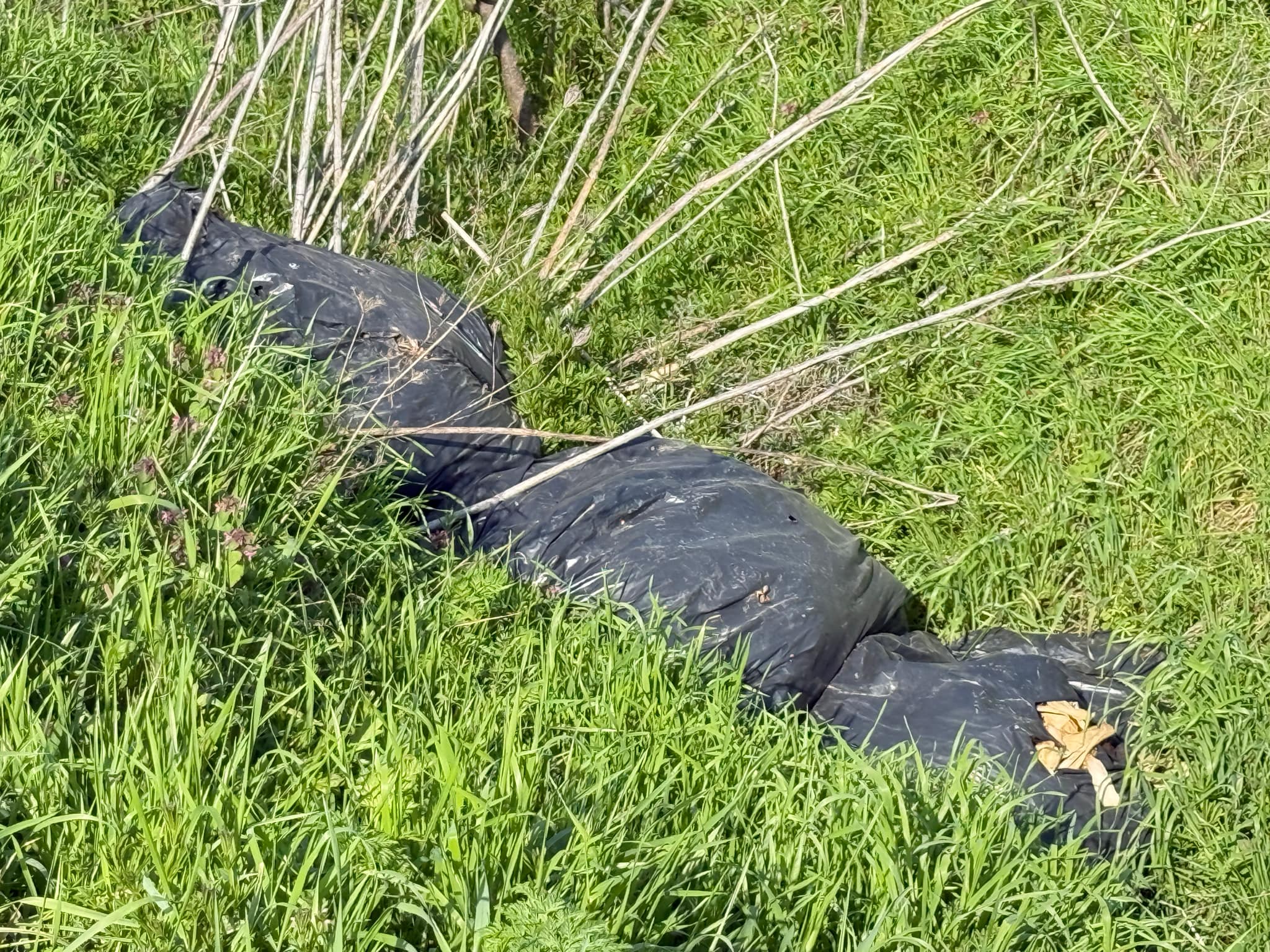 c2e1df10-673f-4555-92c6-7e5c0148bf01