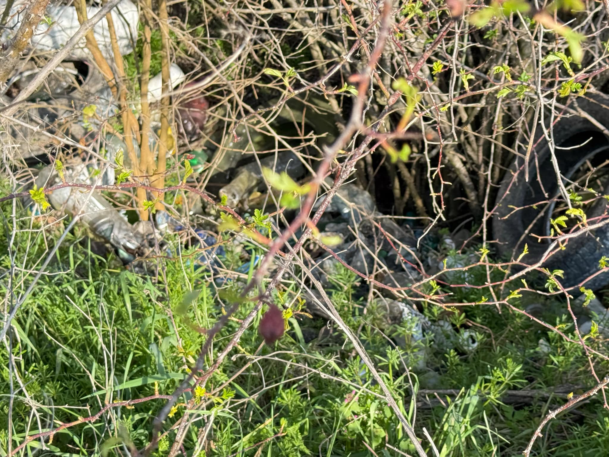 c59de94d-91c2-45bf-842d-8fc2ce2b9f20