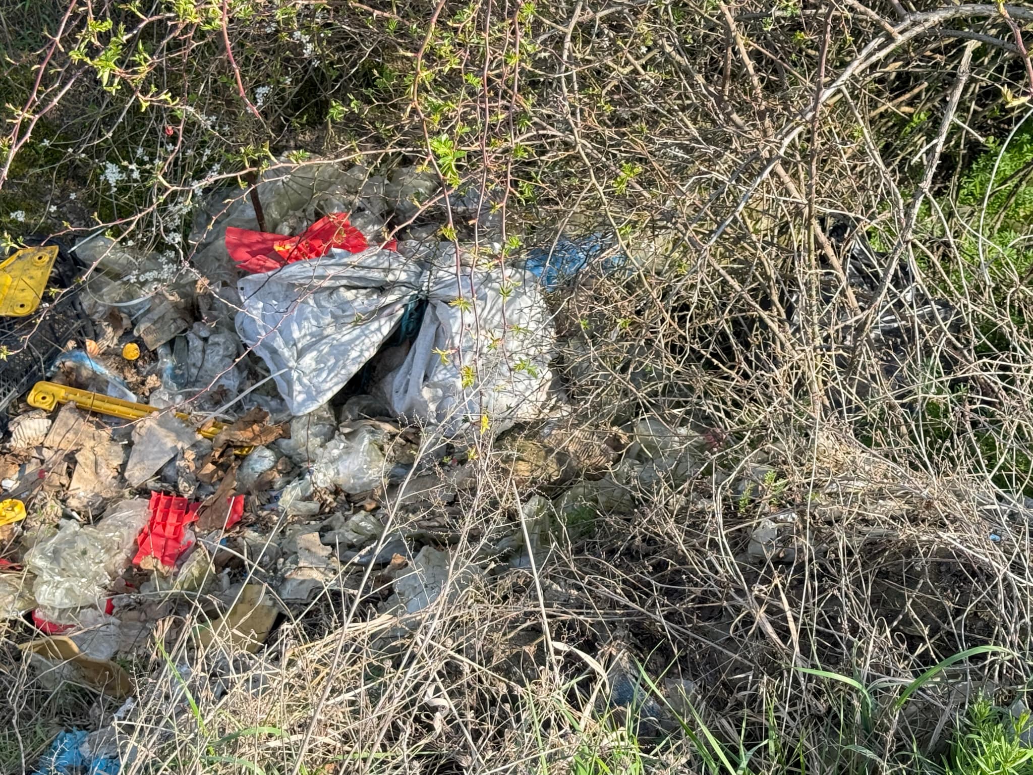 c0125632-7378-4dd6-9550-23e9681f33ae