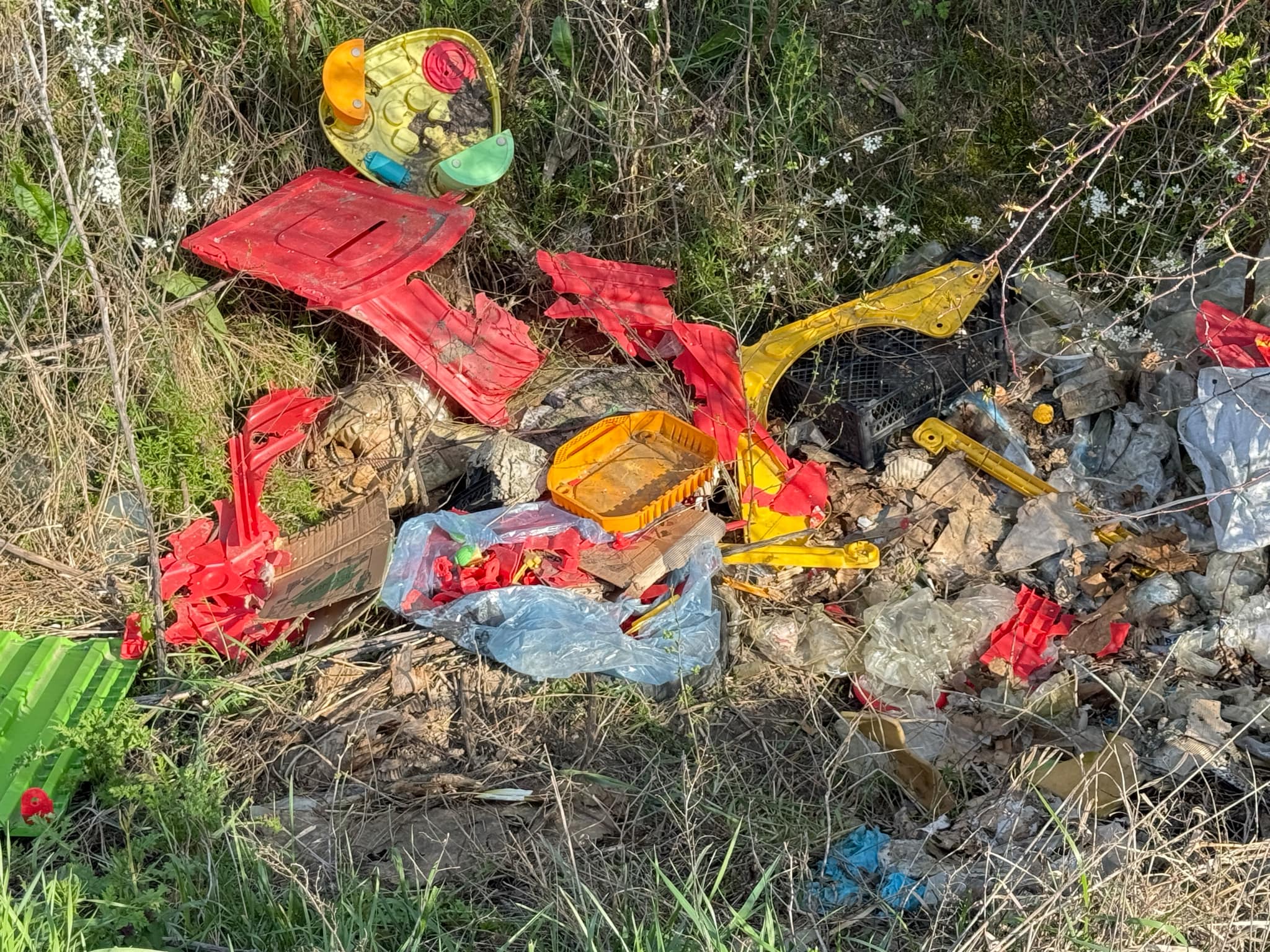 ec1c9d29-2dc8-4249-be8b-f2cf61216015