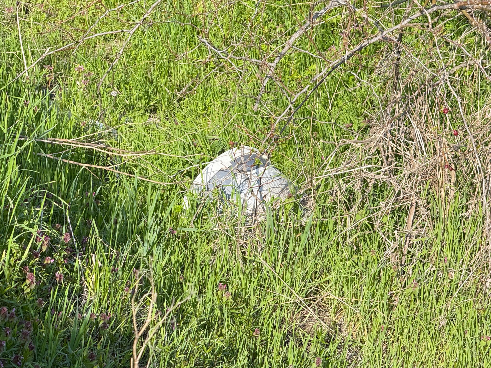 f242a2a4-1772-45c5-876f-78317ce7743d