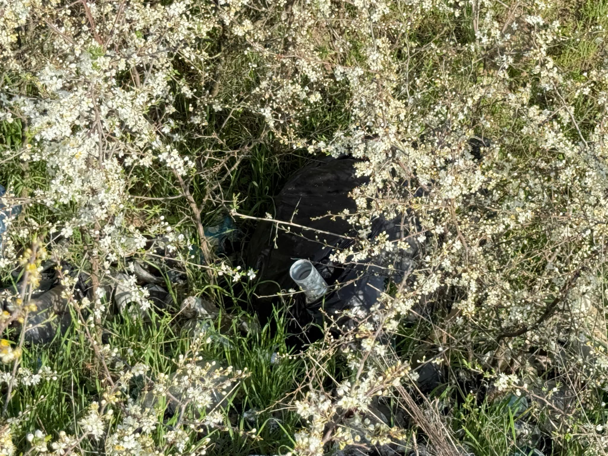 fd1a5e4c-4839-45e8-b667-b49235f4bac5