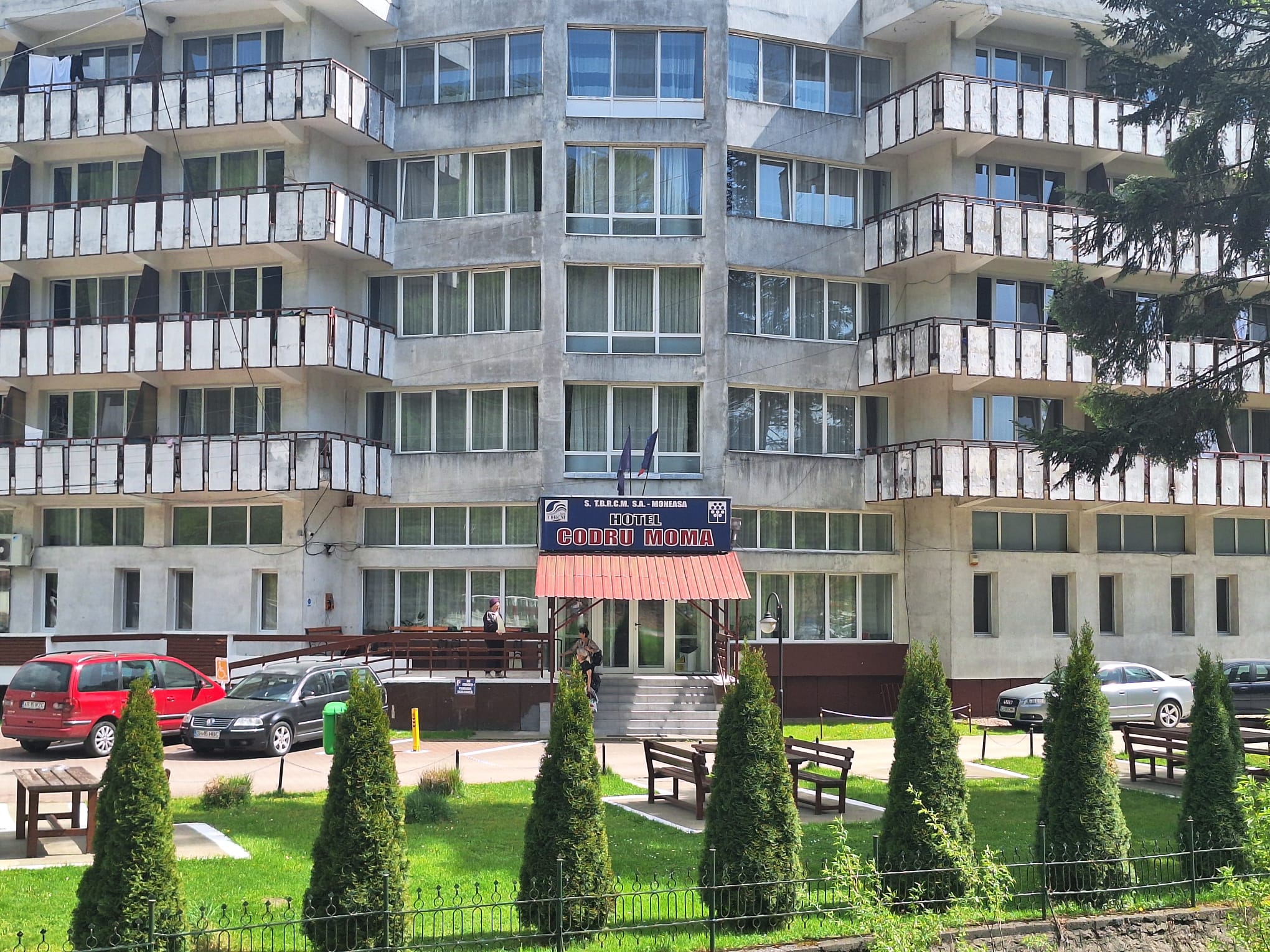 codru moma in reabilitare