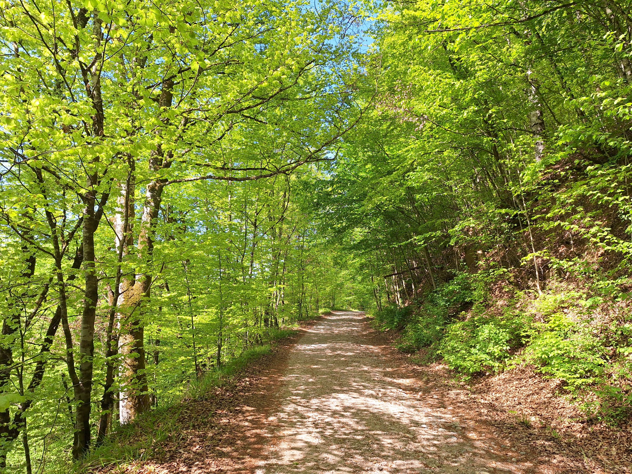 spre cariera de marmura