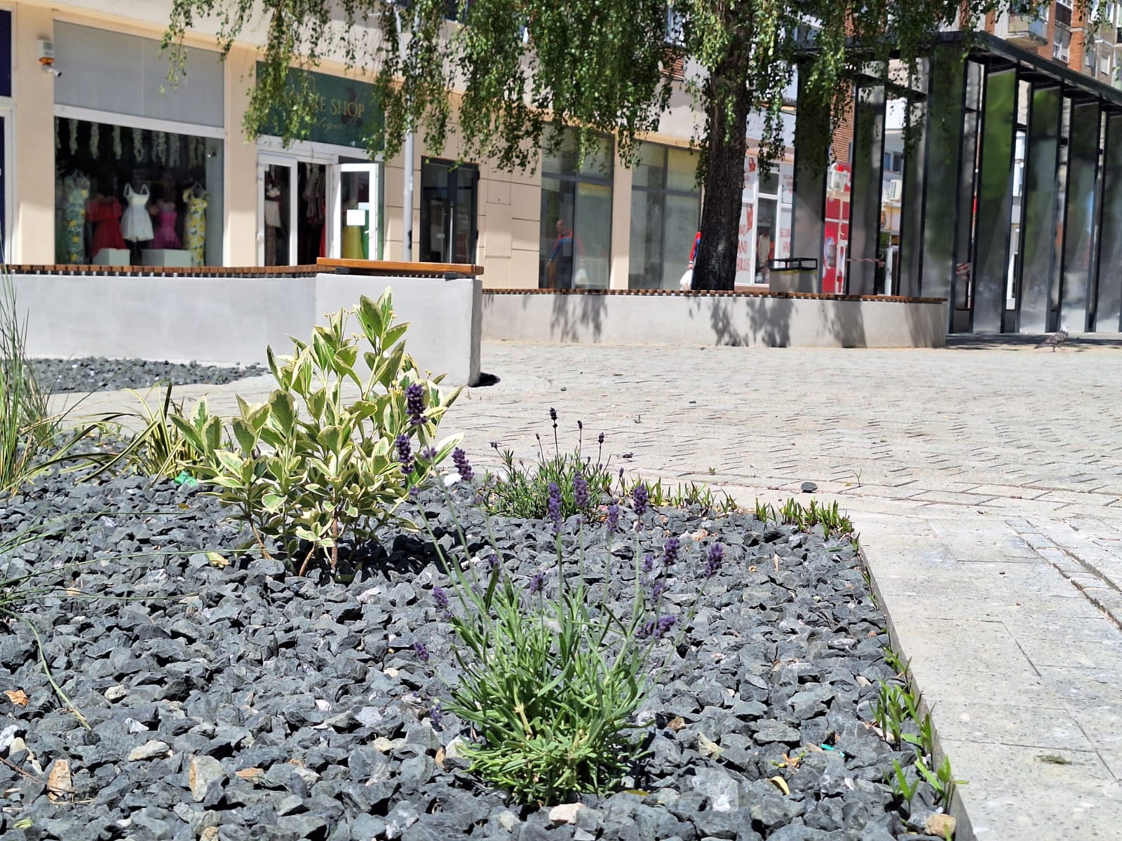 WhatsApp Image 2025-05-10 at 13.57.27