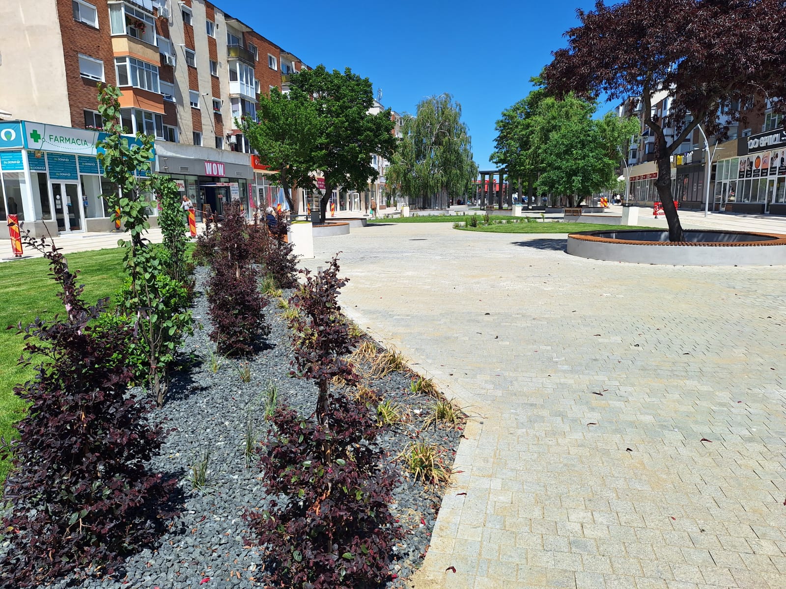 WhatsApp Image 2025-05-10 at 13.57.28