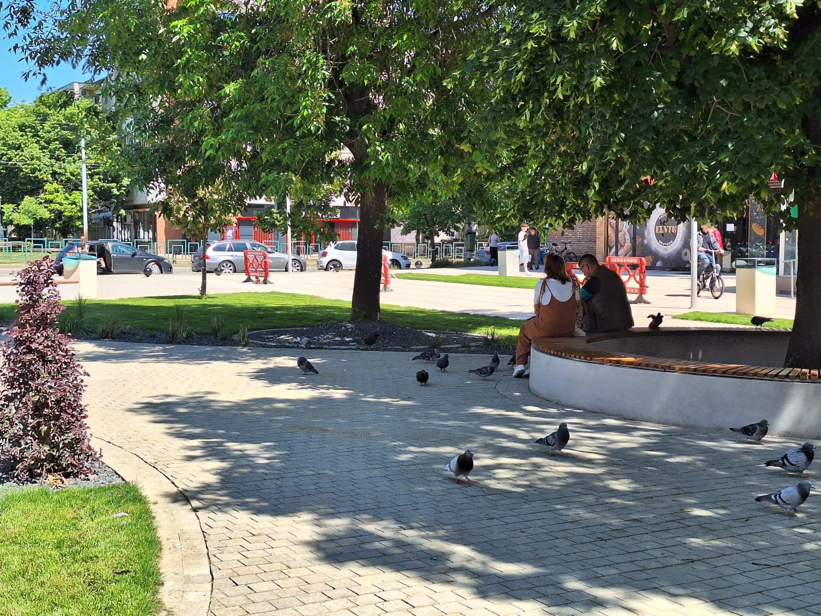 WhatsApp Image 2025-05-10 at 13.57.34 (3)