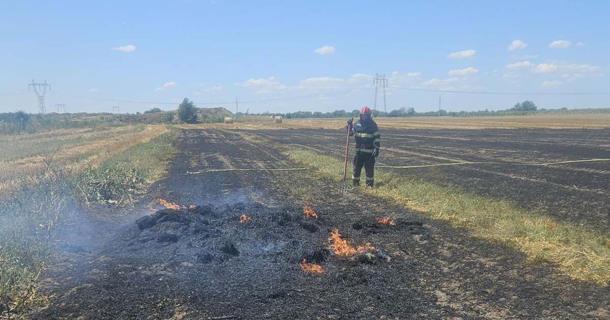 Focul a mistuit șase baloți de paie lângă drumul Arad-Șofronea.