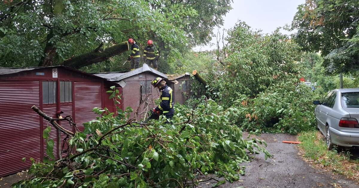 Un copac s-a prăbușit pe o mașină în centrul Aradului.