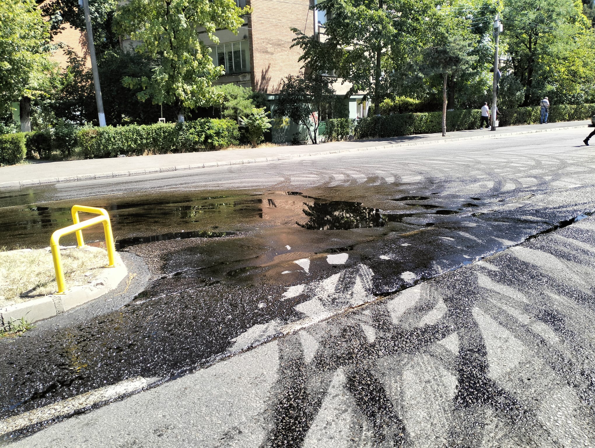 WhatsApp Image 2025-07-02 at 15.49.44 (1)