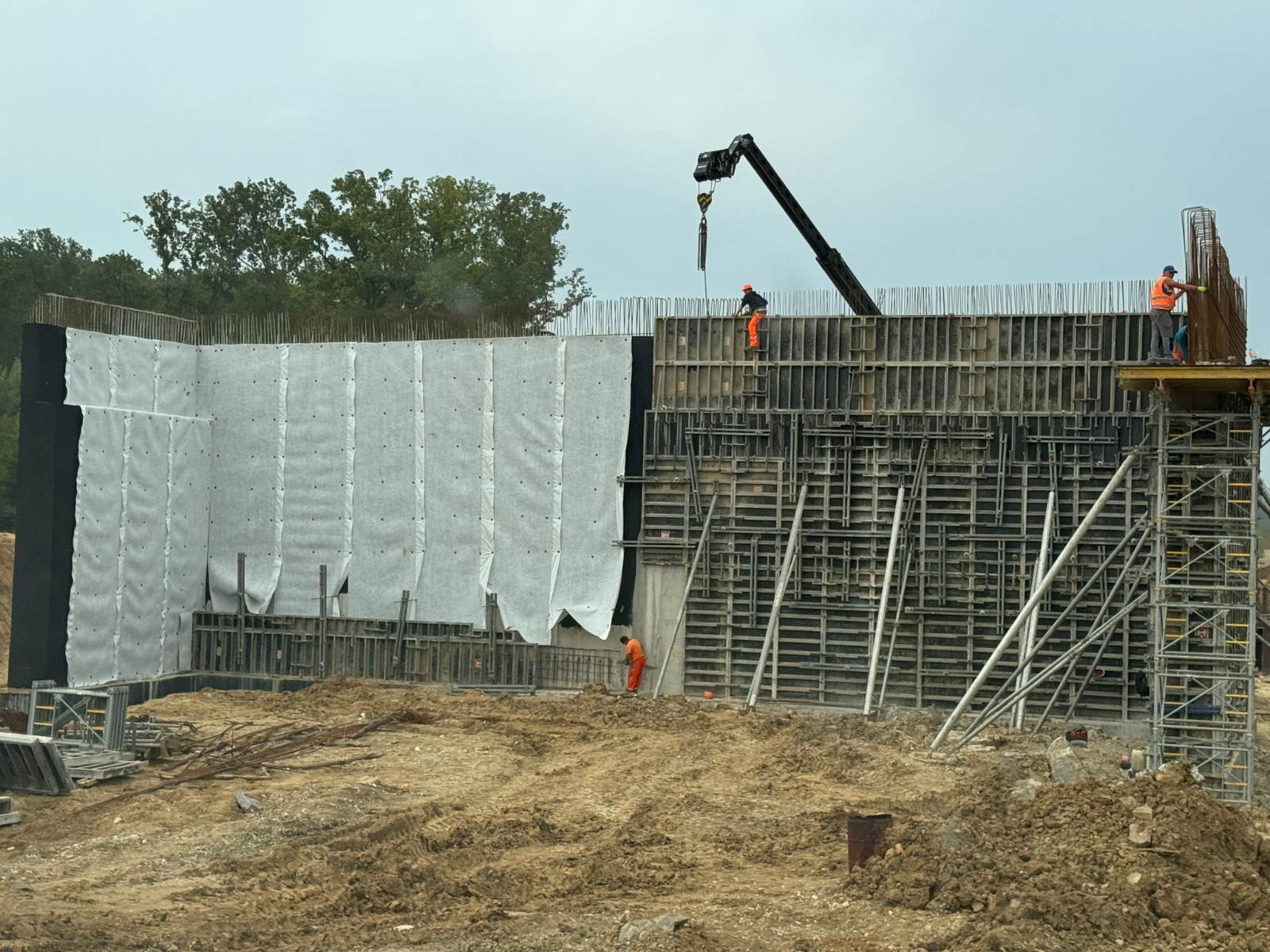 WhatsApp Image 2025-07-19 at 09.44.47 (2)