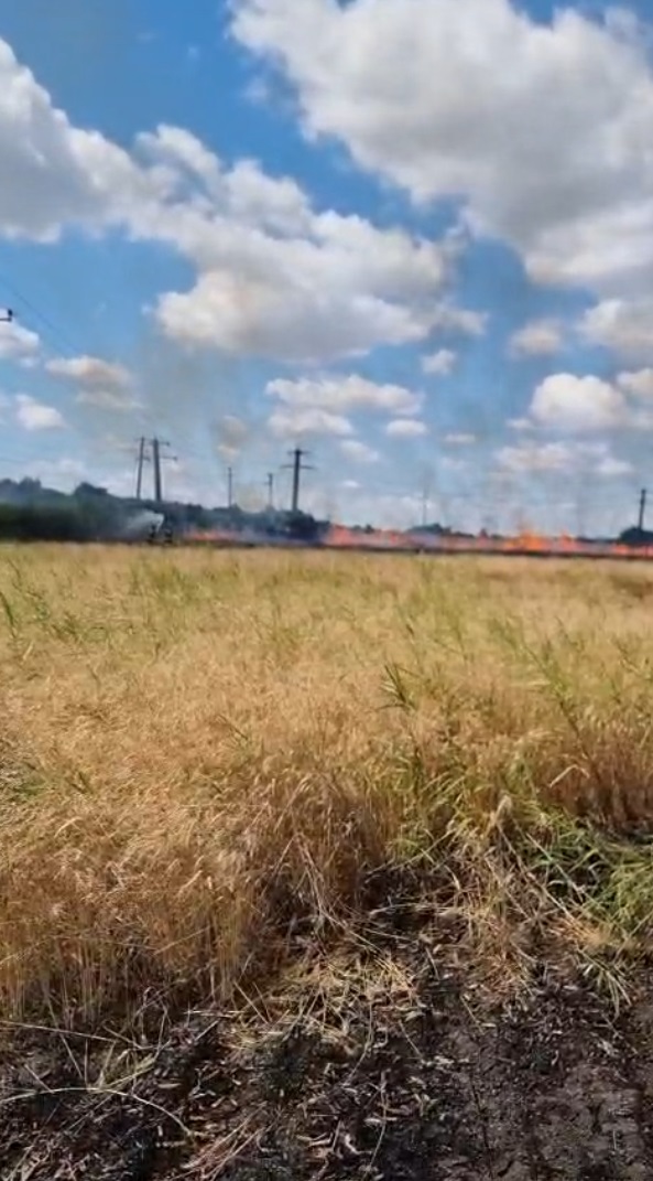 Captură ecran (4324)