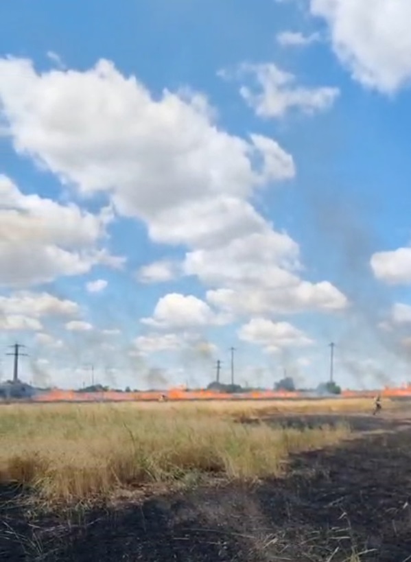 Captură ecran (4318)