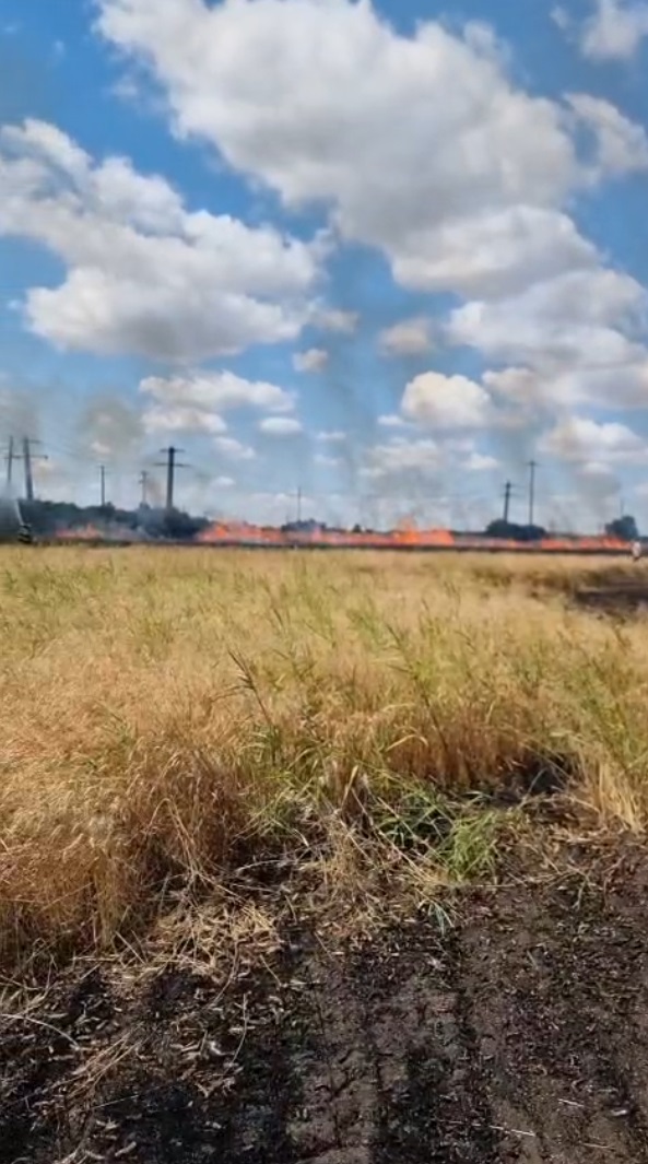 Captură ecran (4323)