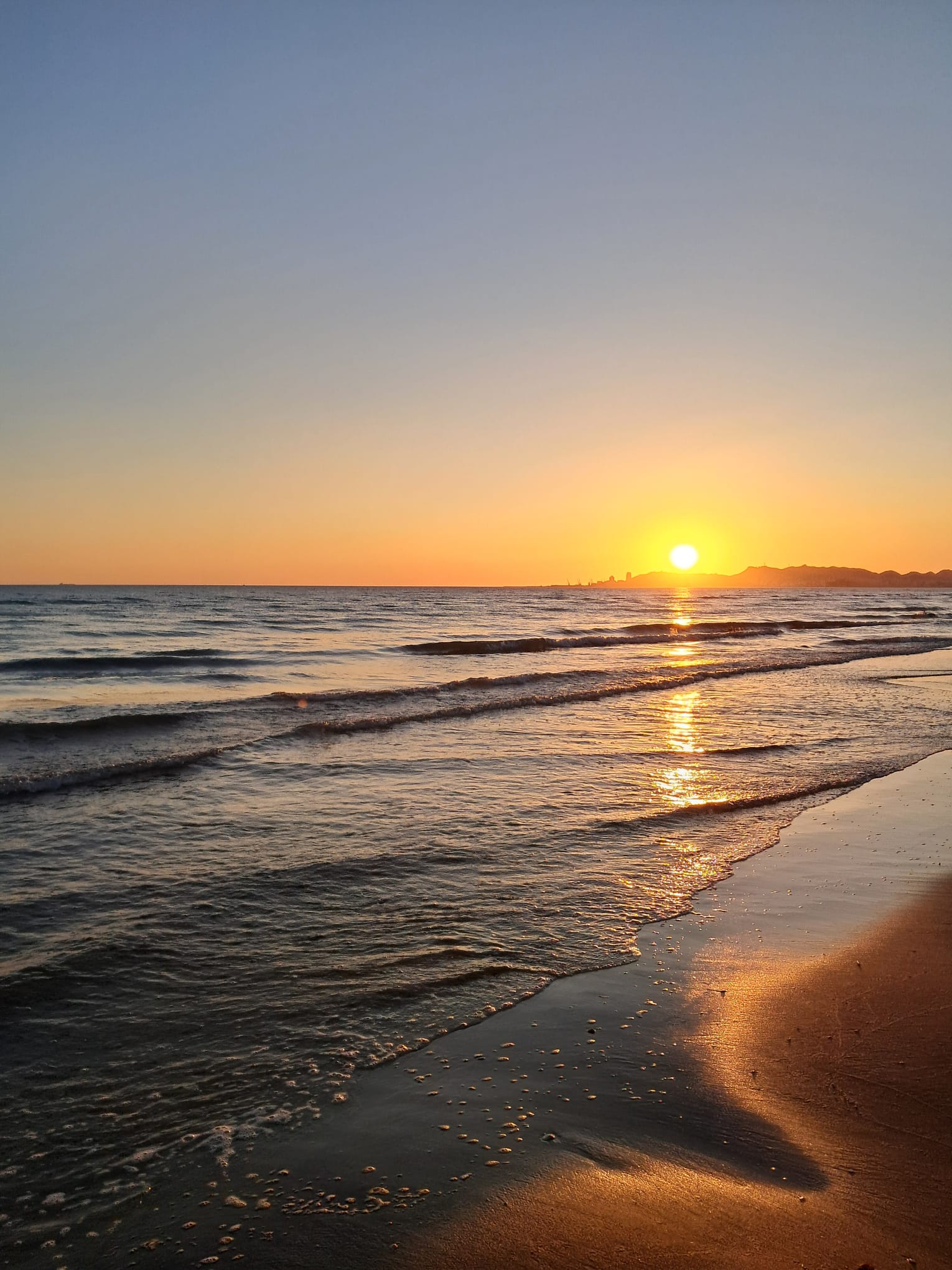 WhatsApp Image 2025-07-24 at 15.52.14