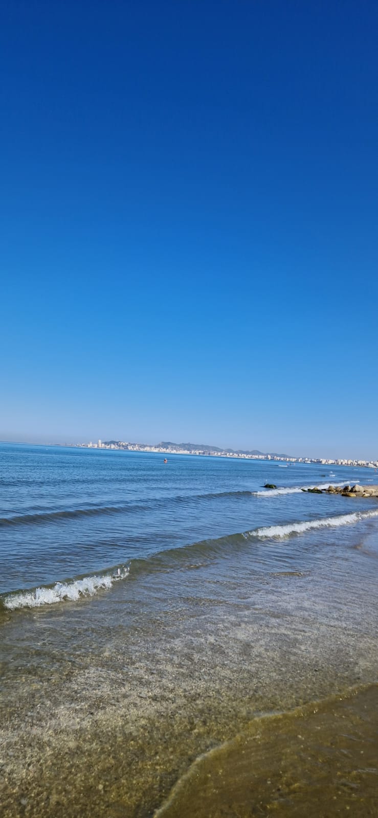 WhatsApp Image 2025-07-24 at 15.52.20 (1)