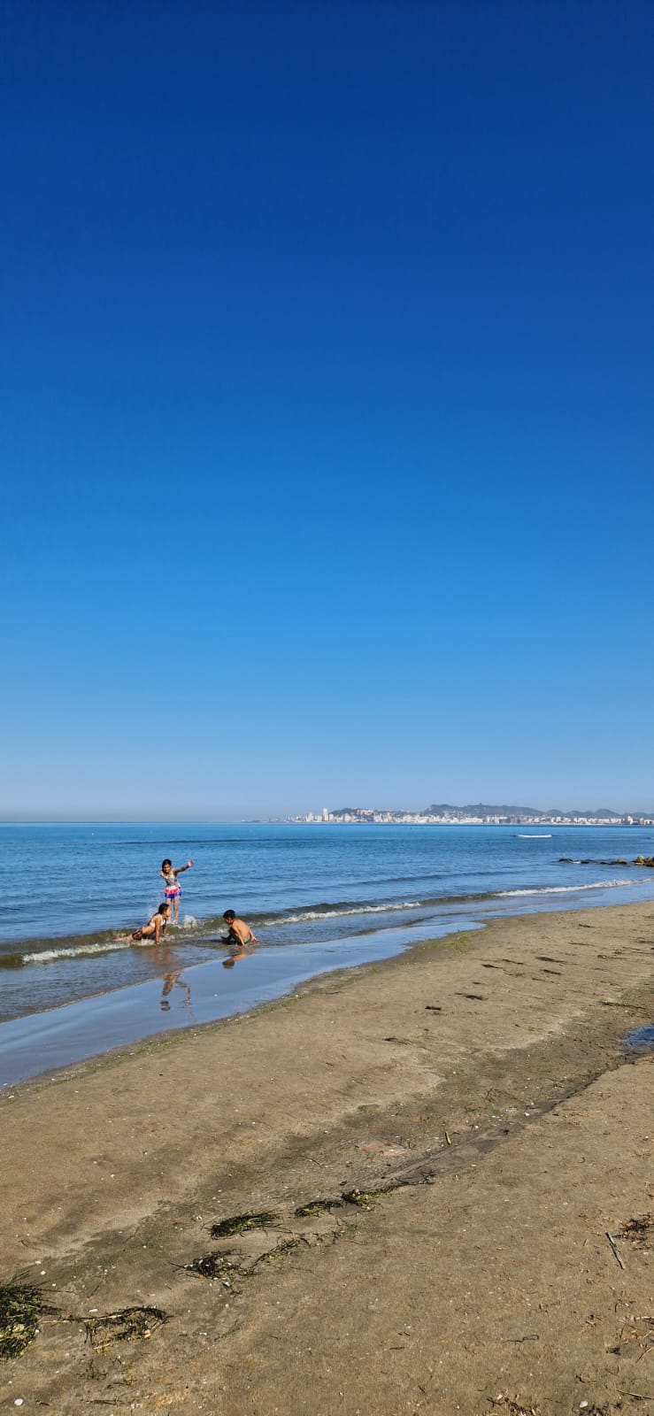 WhatsApp Image 2025-07-24 at 15.52.20