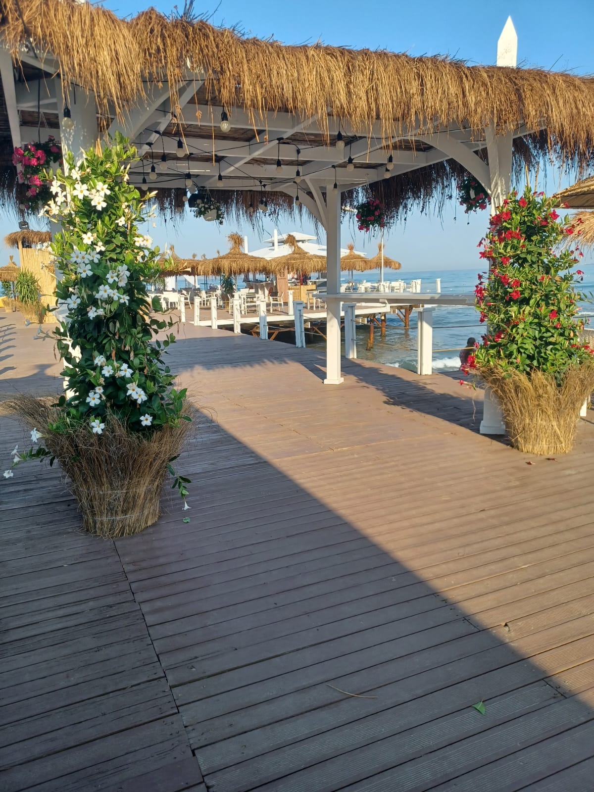 WhatsApp Image 2025-07-24 at 15.52.24 (3)