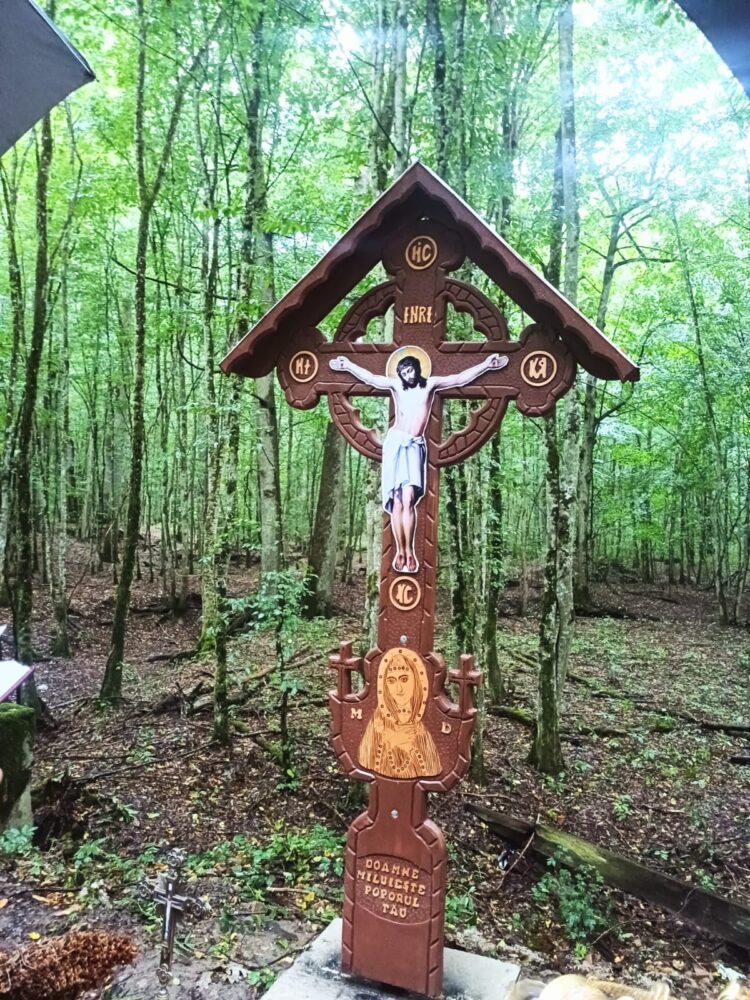 e4d99a5e-df4d-44d0-8852-b9c4e4039297