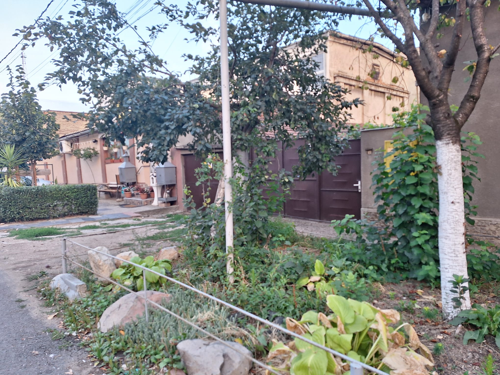 a07d4f57-f506-4c12-9290-b877db4cd52f