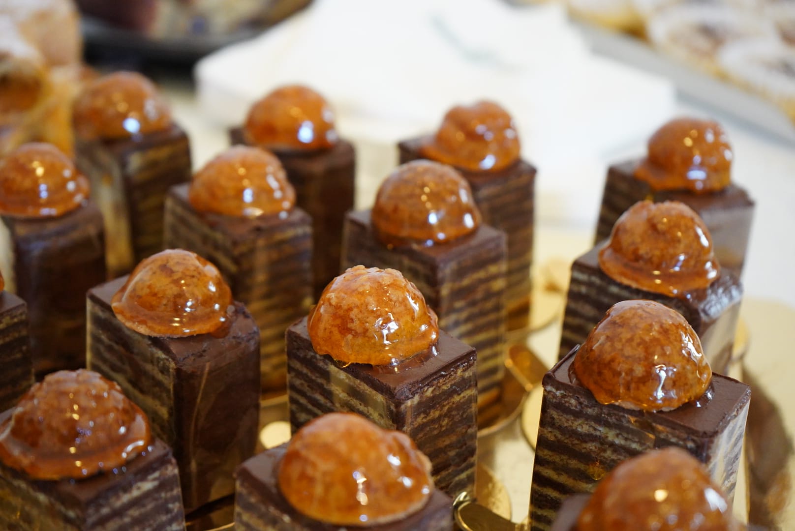 WhatsApp Image 2025-08-08 at 17.37.59