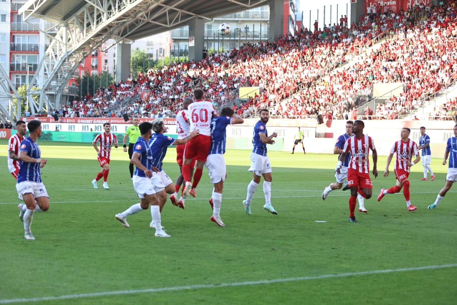 WhatsApp Image 2025-08-09 at 8.31.30 PM (2)