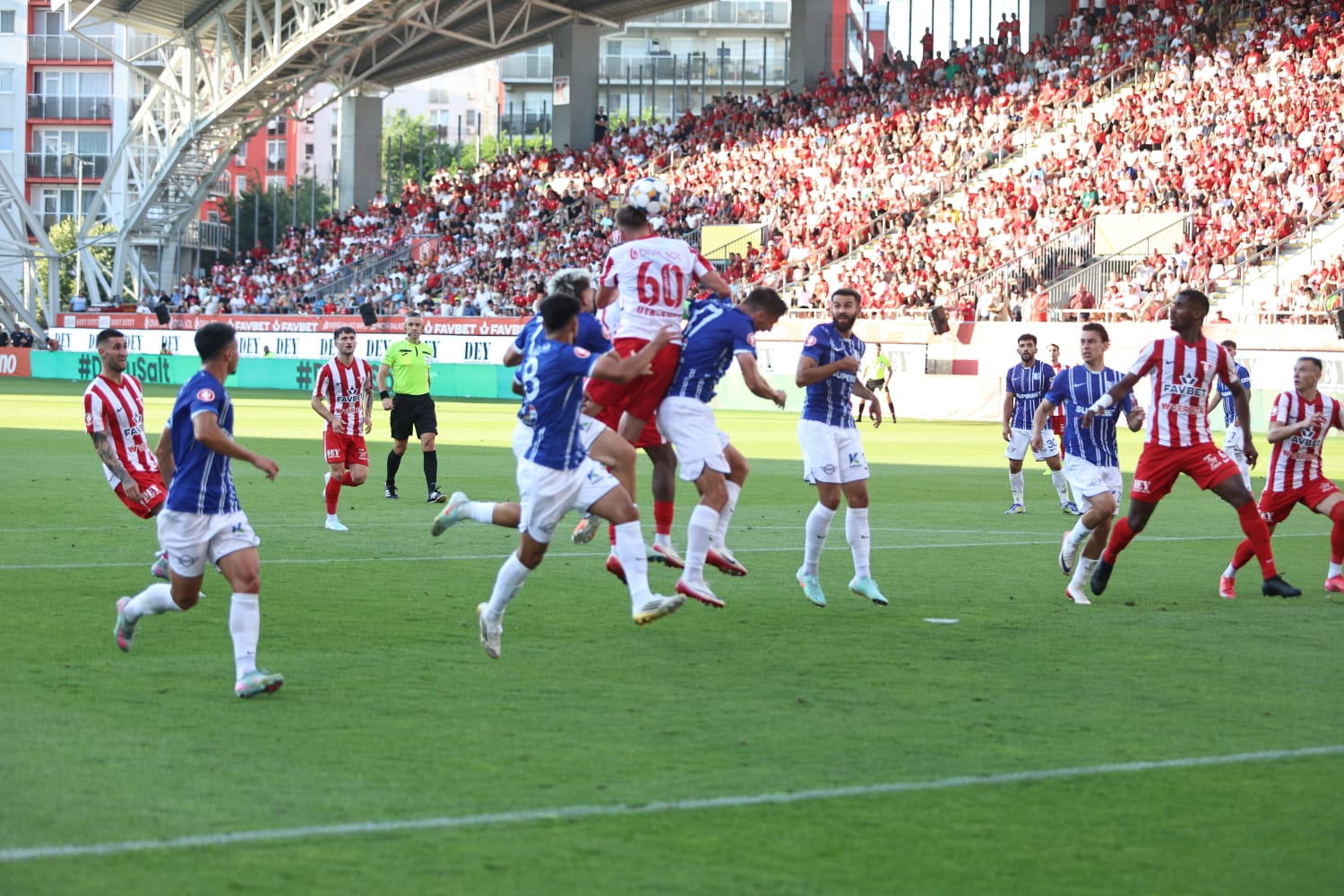 WhatsApp Image 2025-08-09 at 8.31.30 PM