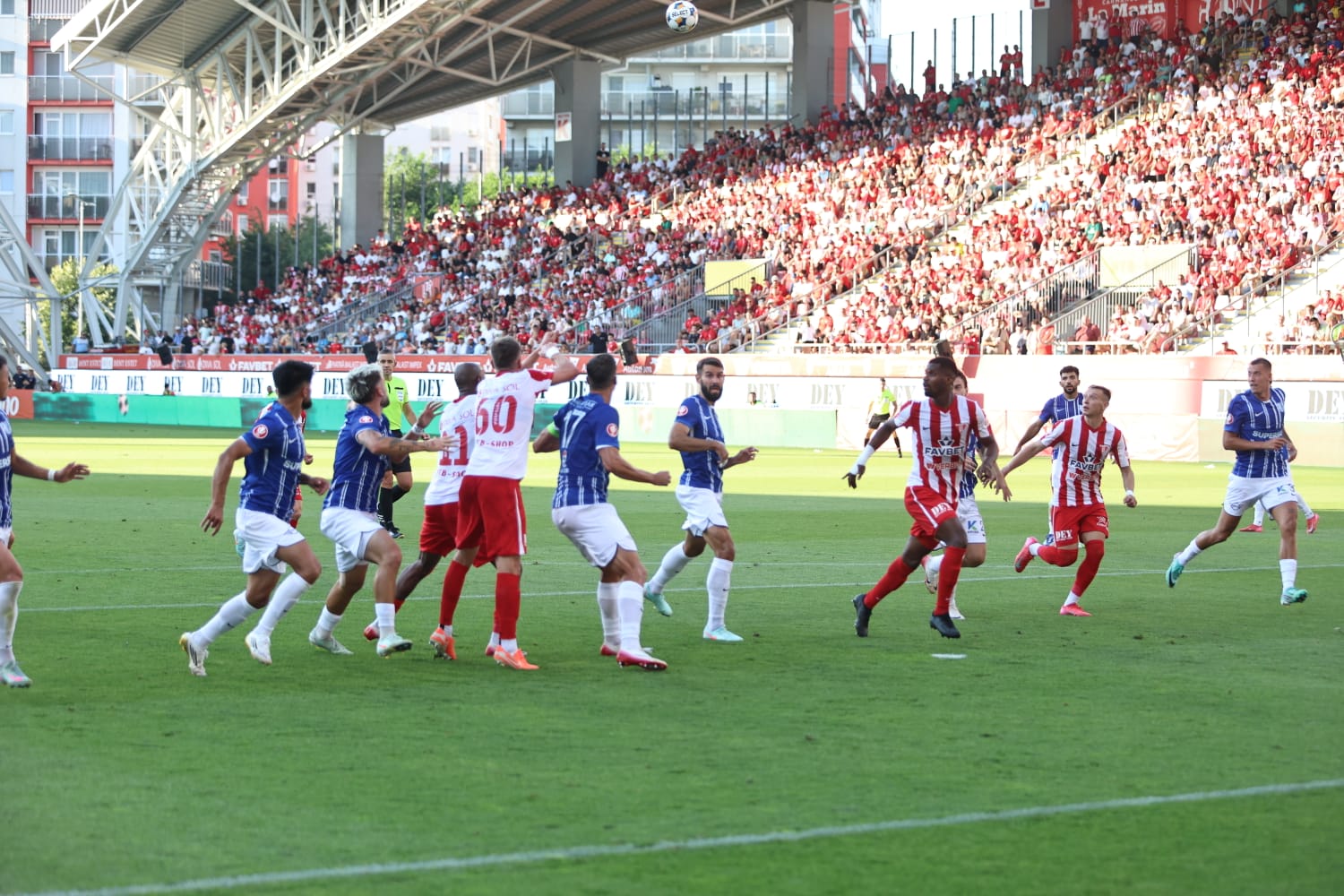 WhatsApp Image 2025-08-09 at 8.34.01 PM (1)