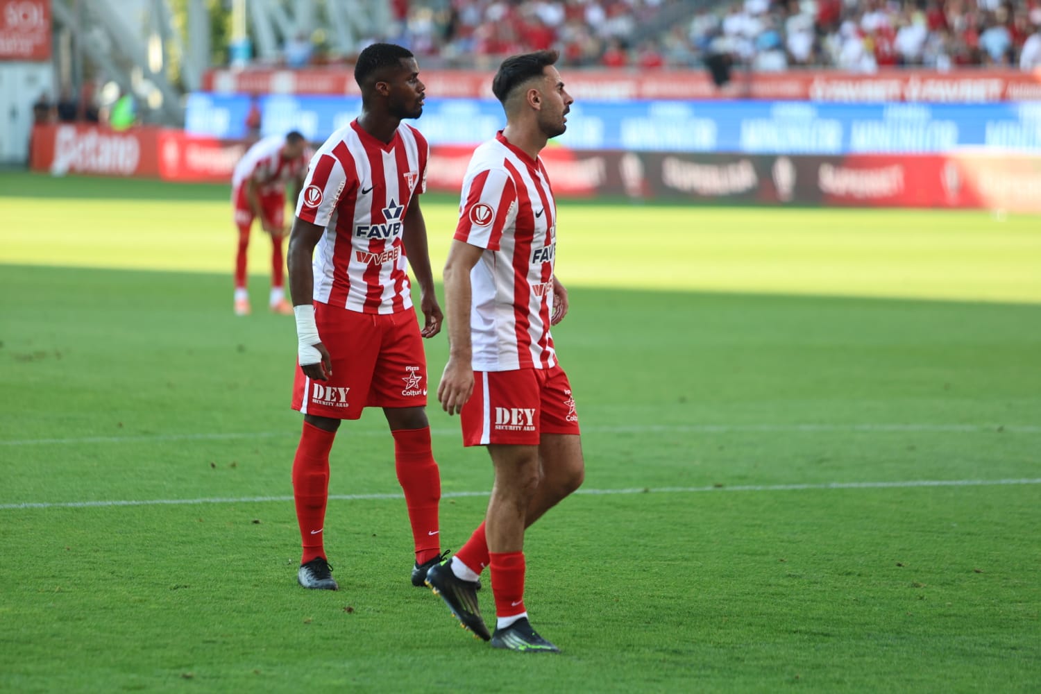 WhatsApp Image 2025-08-09 at 8.34.01 PM (3)